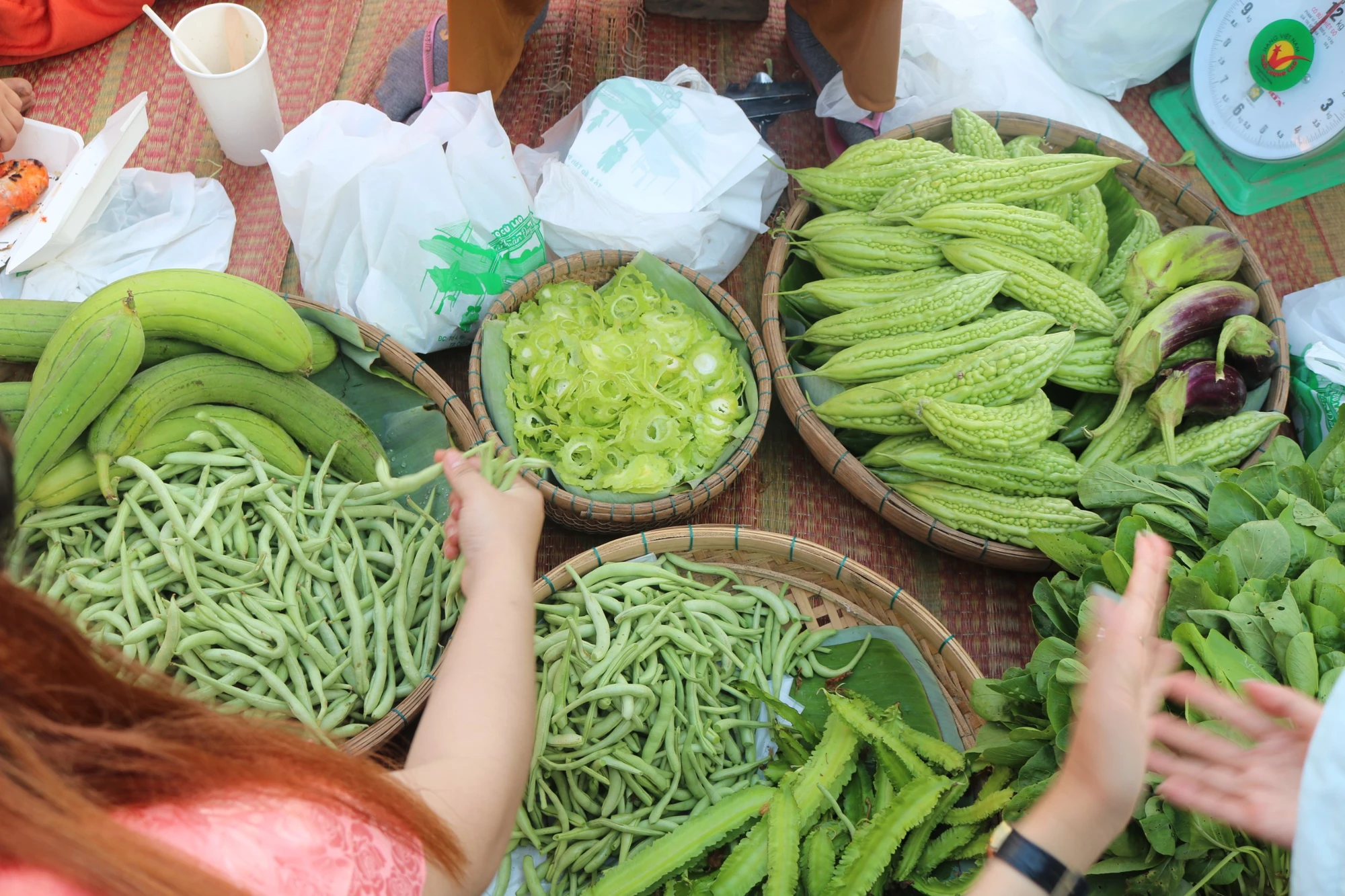 rau-cu-nha-trong-duoc-nguoi-dan-hai-dem-ra-ban.jpg