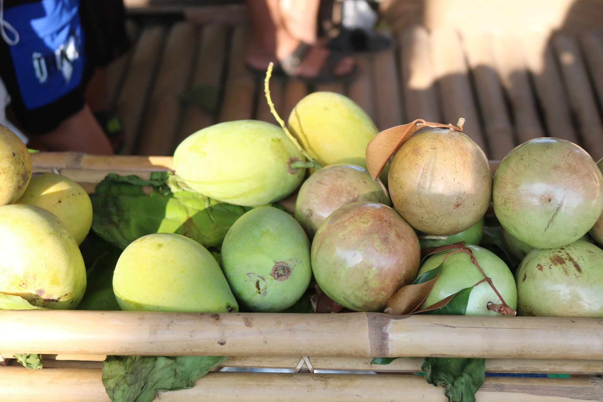 trai-cay-nha-trong.jpg