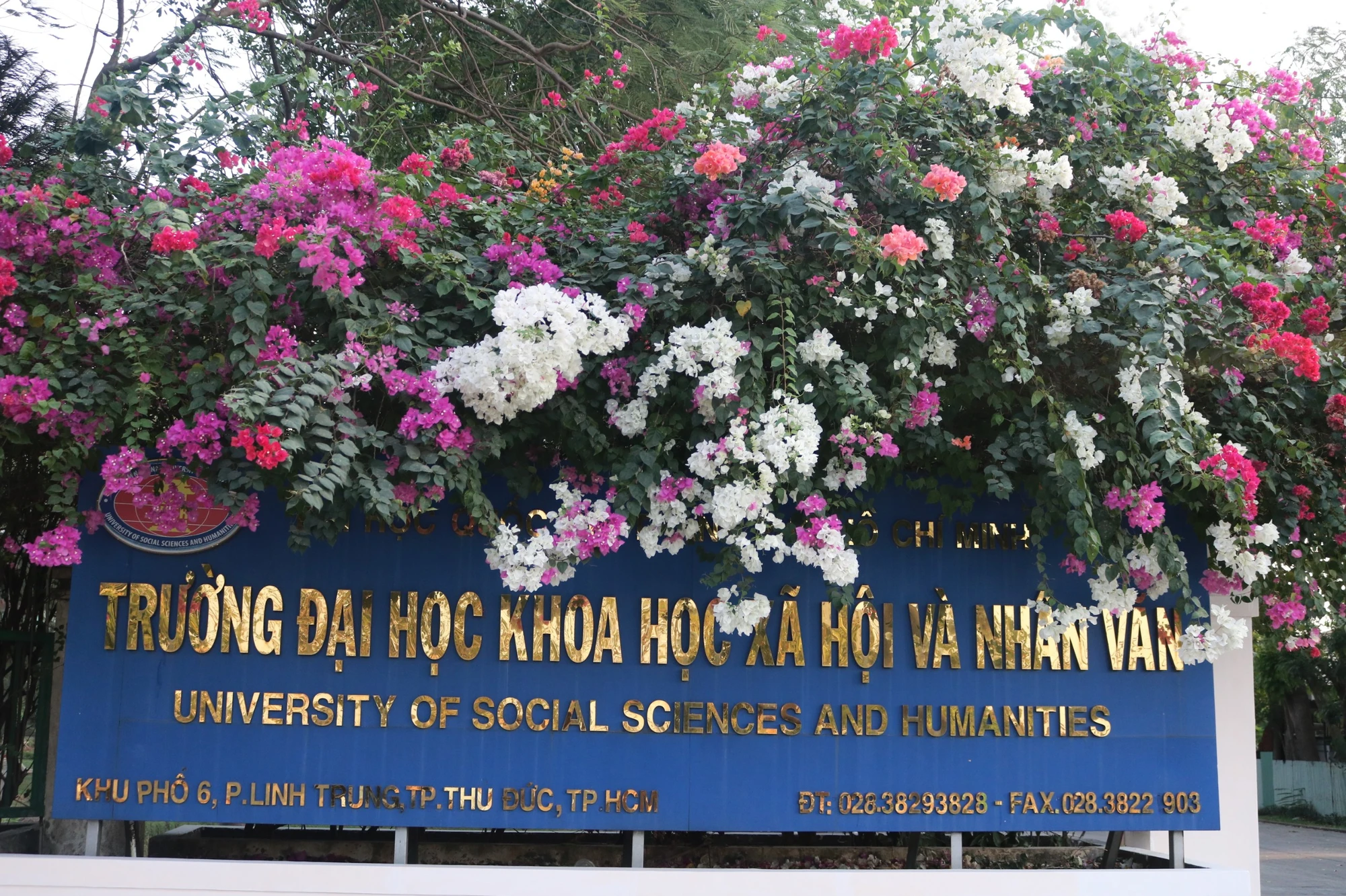 cong-truong-co-hoa-giay.jpg