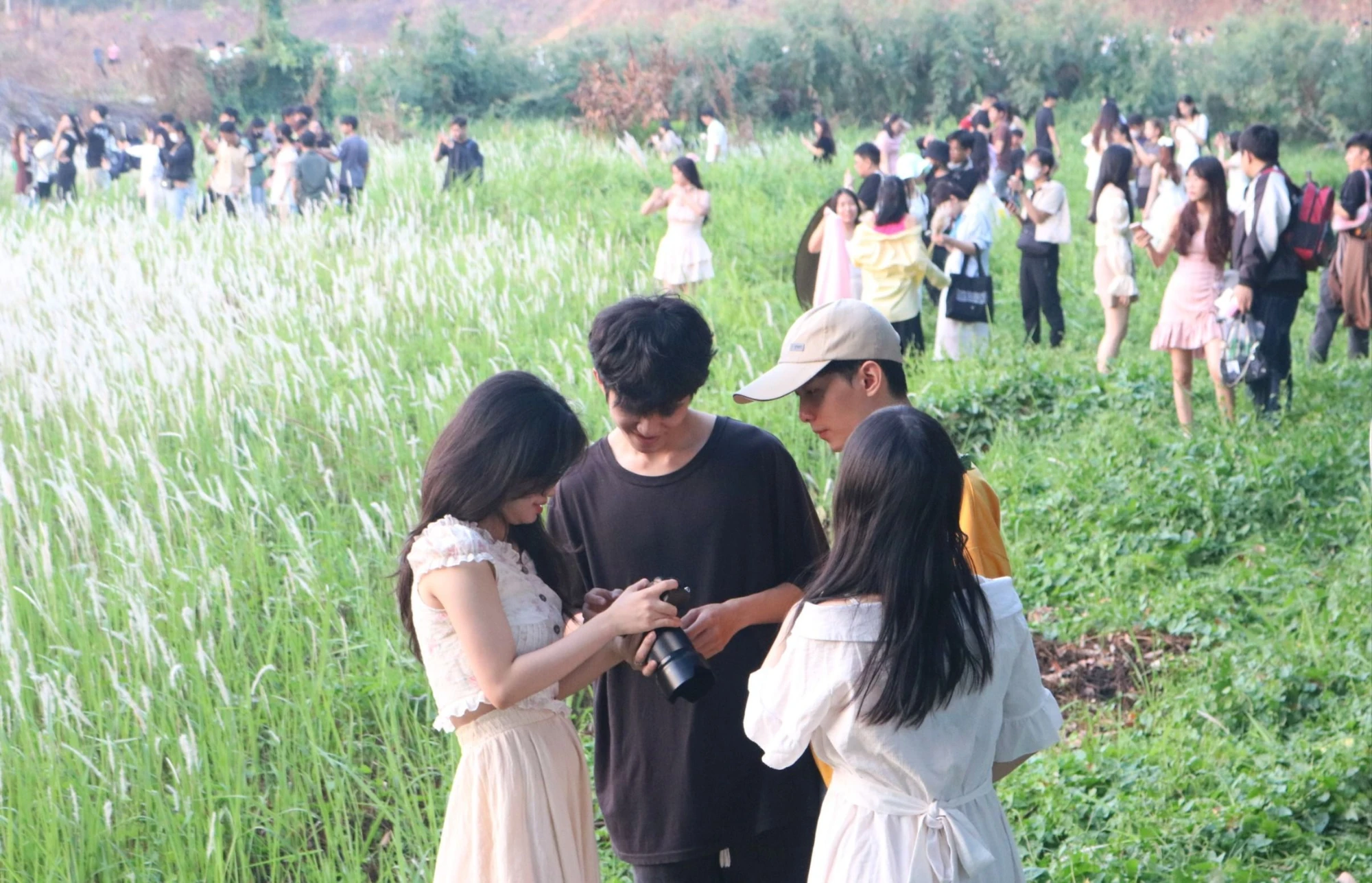 ban-tre-checkin-canh-dong-co-tranh.jpg