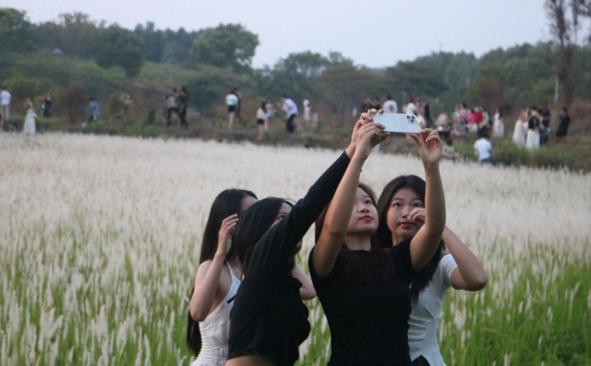 ban-tre-thich-thu-checkin-canh-dong-co-tranh.jpg