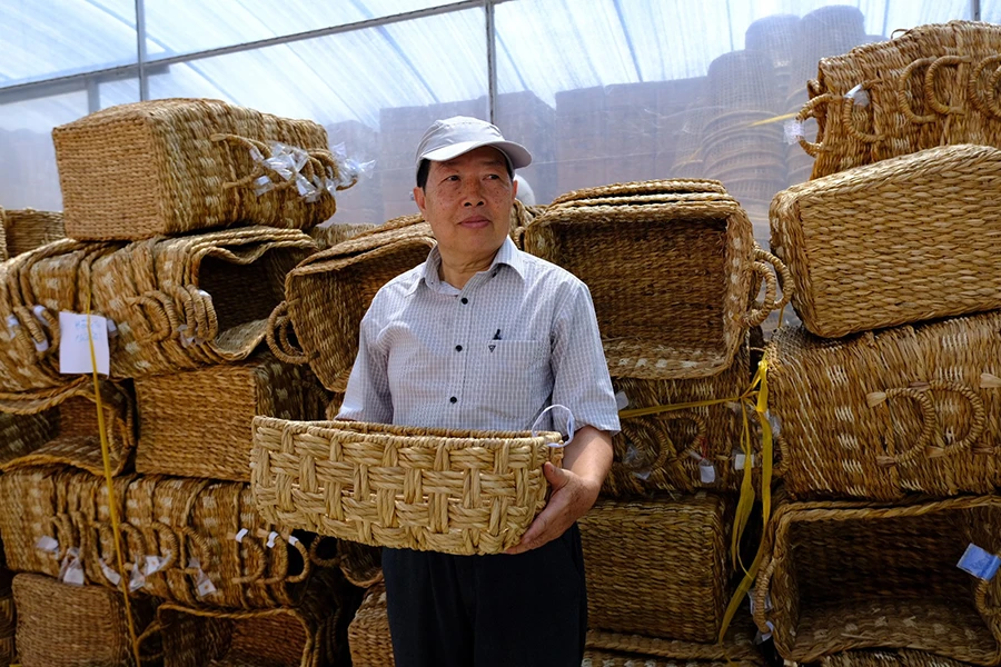 P12_co-nan-tuong_h2.jpg