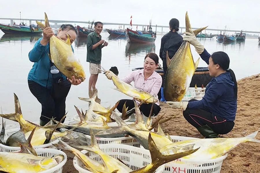 P45_Chinh_h2.jpg