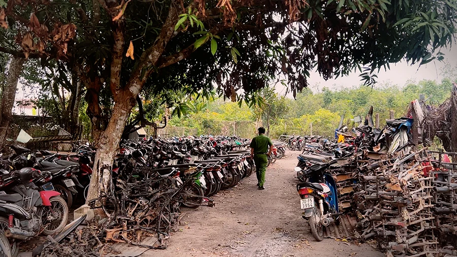 P23_Phu2_dieutra_xekhonggiay_tungtien_ttam.jpg