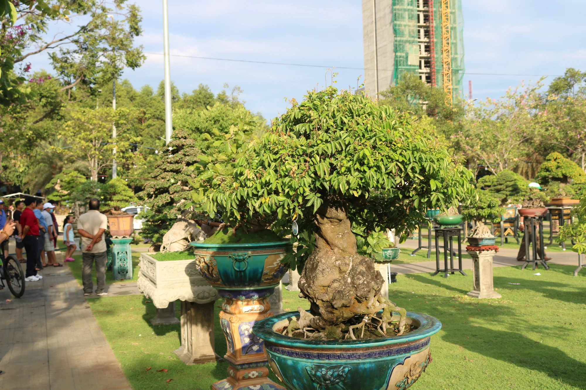 Chỉ tính riêng về cây cảnh và bonsai đã có hơn 1.300 tác phẩm dự thi và trưng bày. Ảnh: QN Chỉ tính riêng về cây cảnh và bonsai đã có hơn 1.300 tác phẩm dự thi và trưng bày. Ảnh: QN