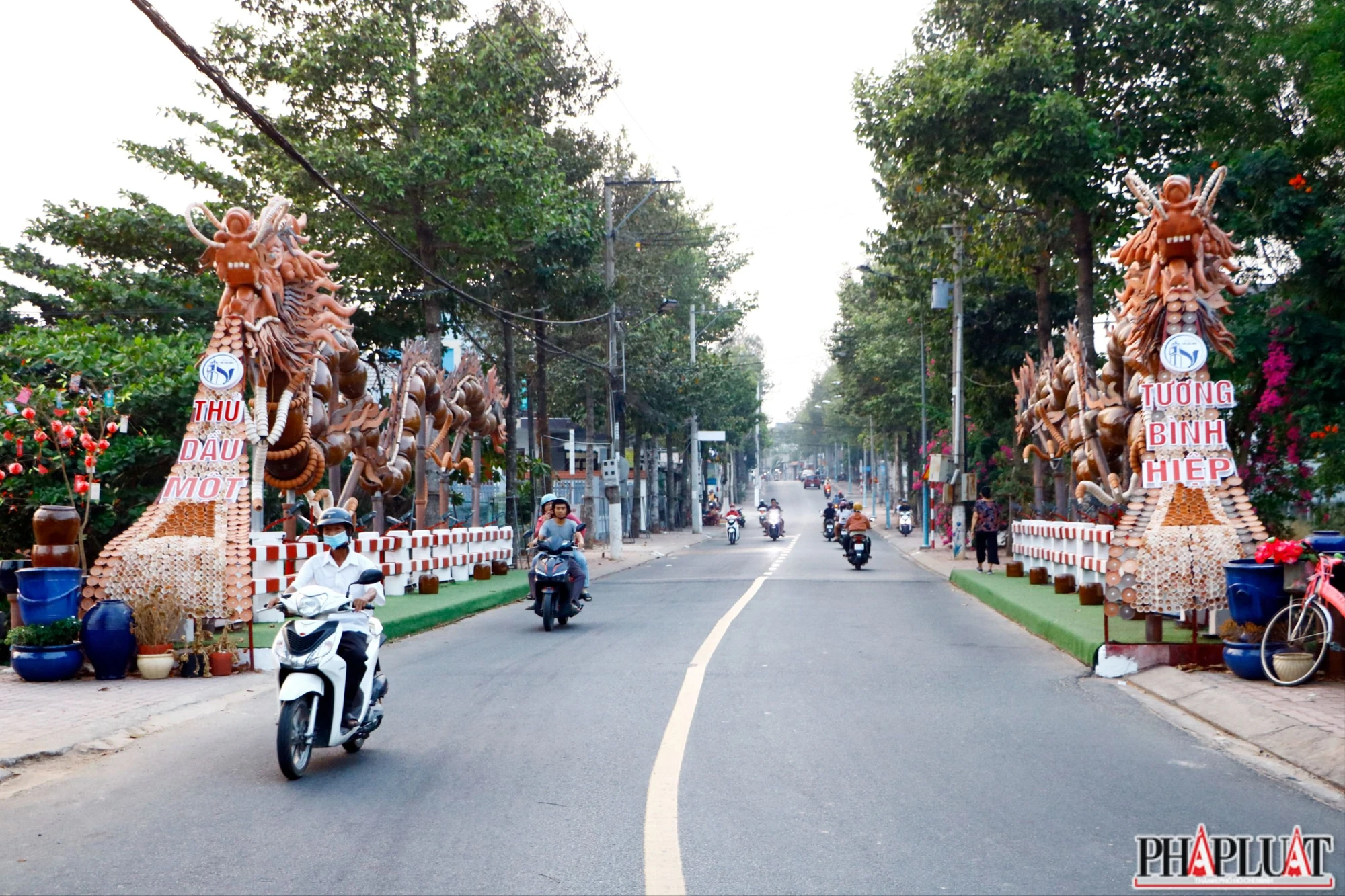 rồng lu (2).JPG