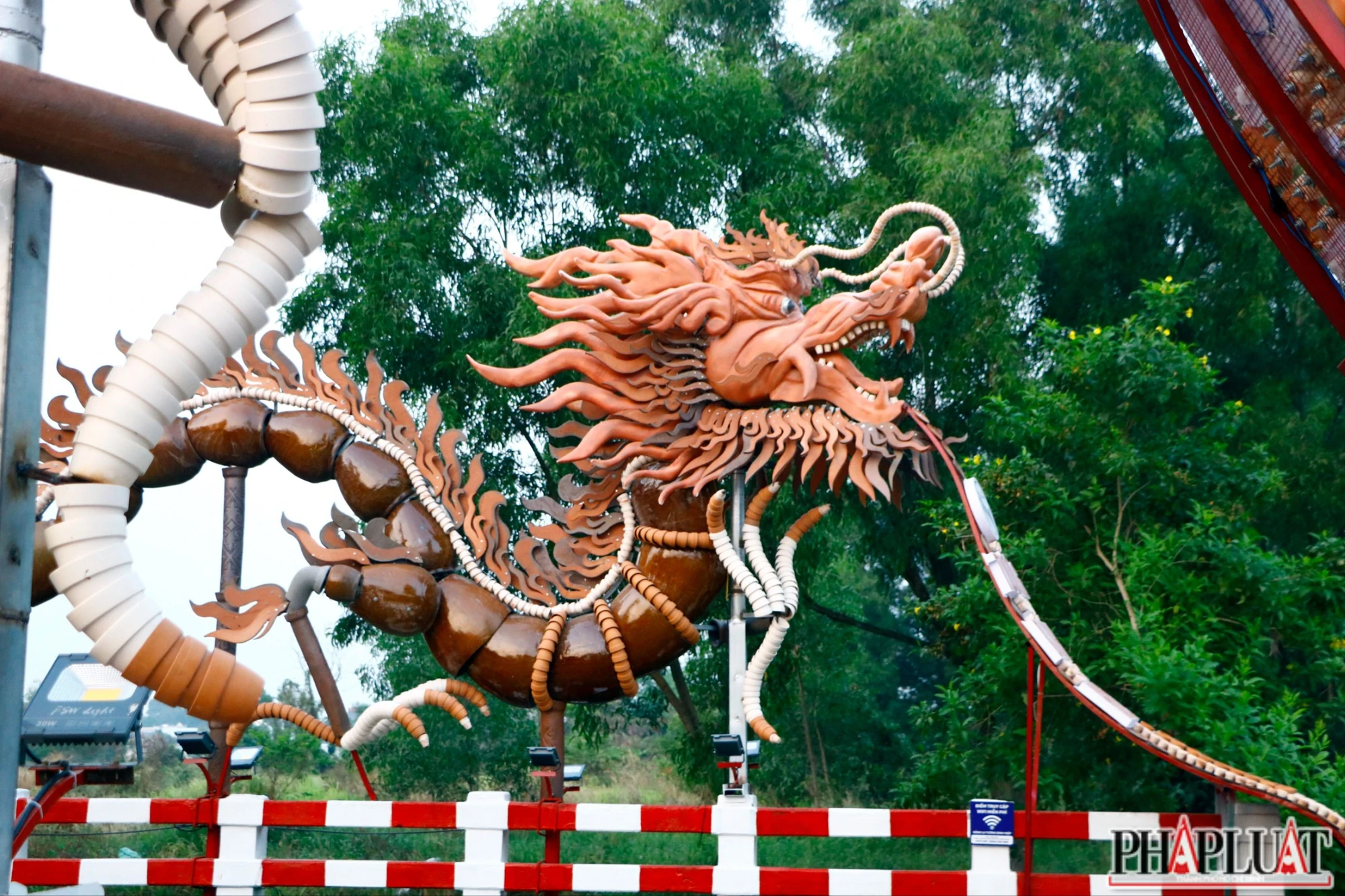 rồng lu (6).JPG