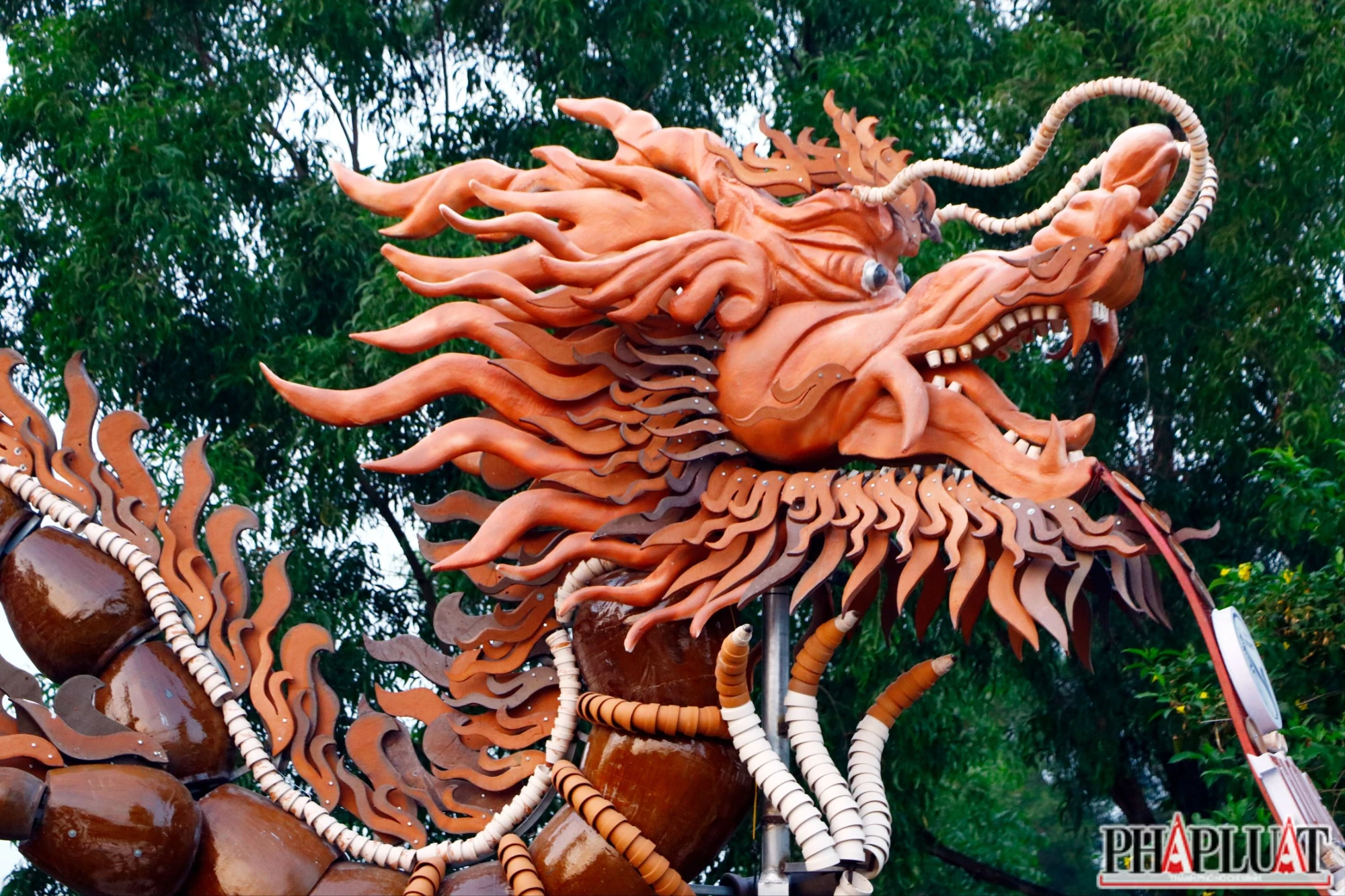 rồng lu (7).JPG