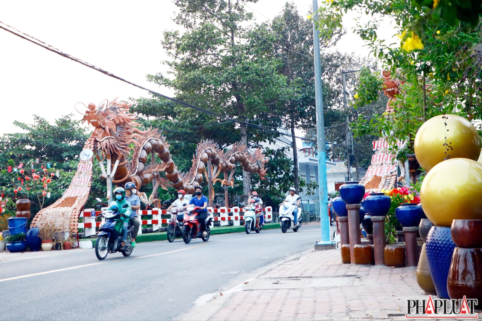 rồng lu (9).JPG
