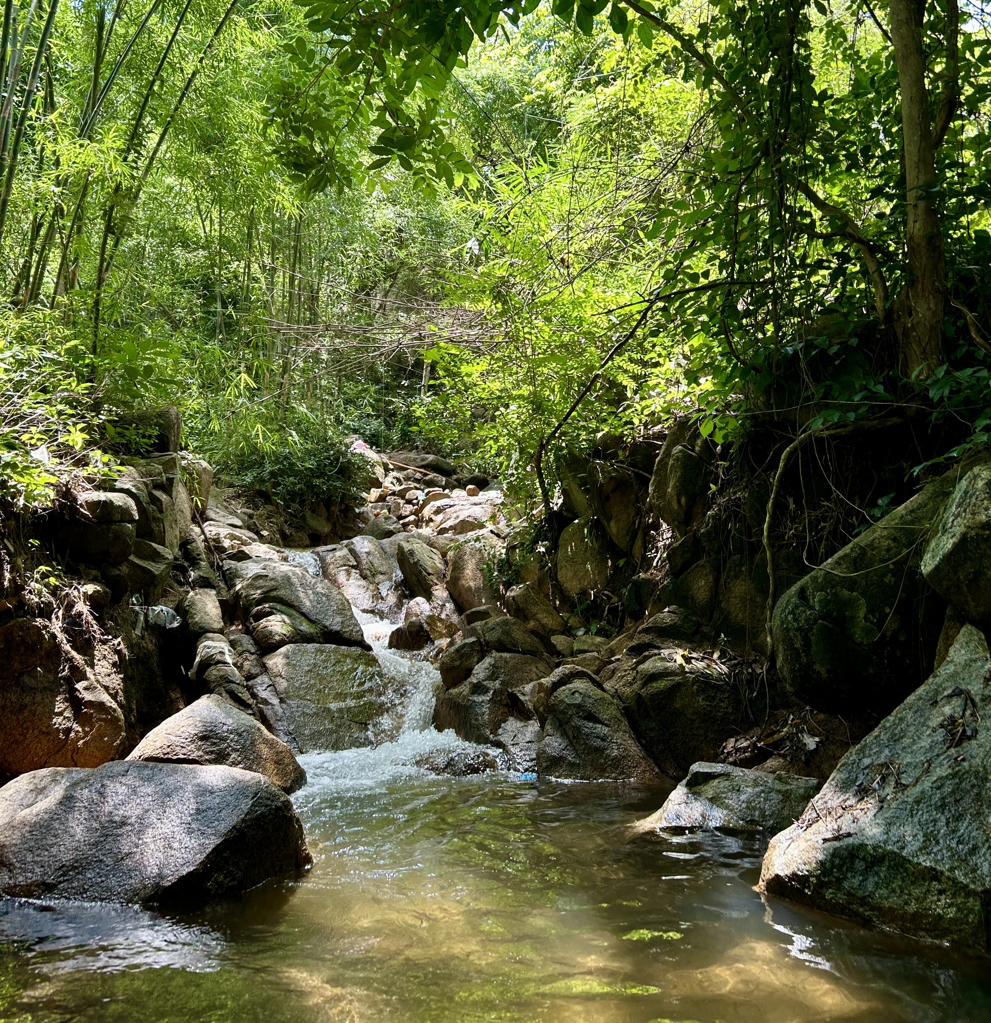suoi-o-da-an-giang-1.jpg