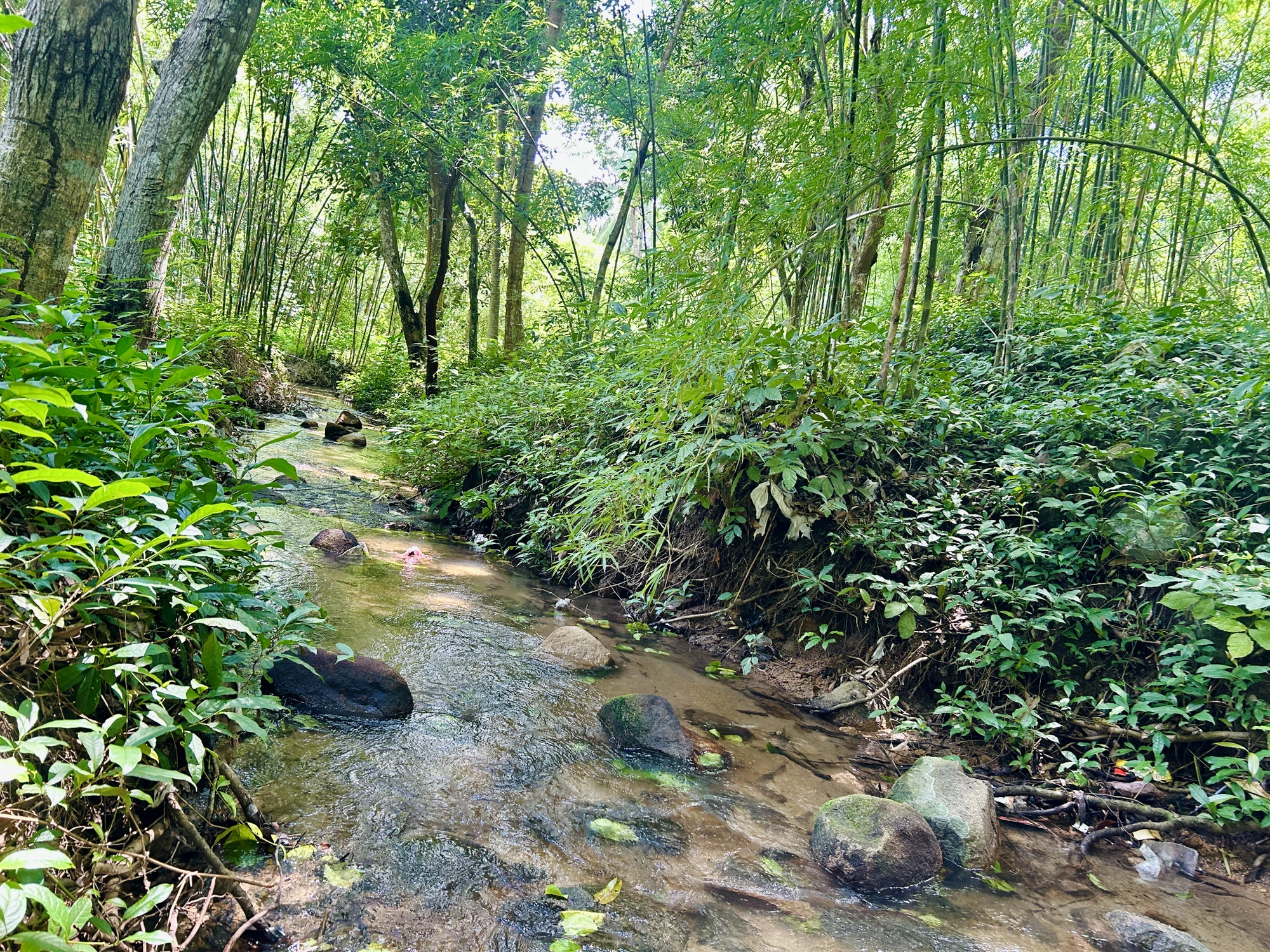 suoi-o-da-an-giang.jpg