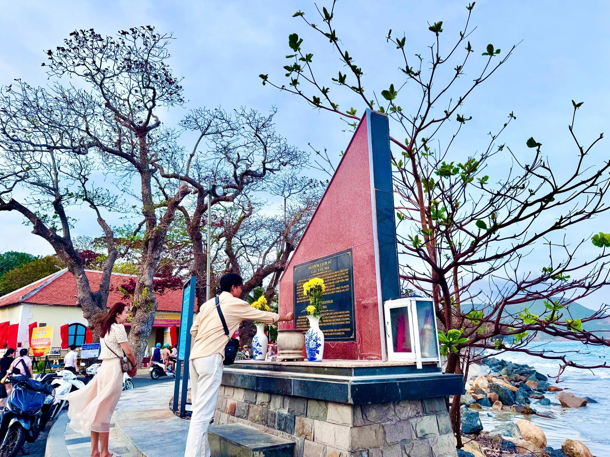 côn đảo,bàng cổ thụ,mùa thay lá