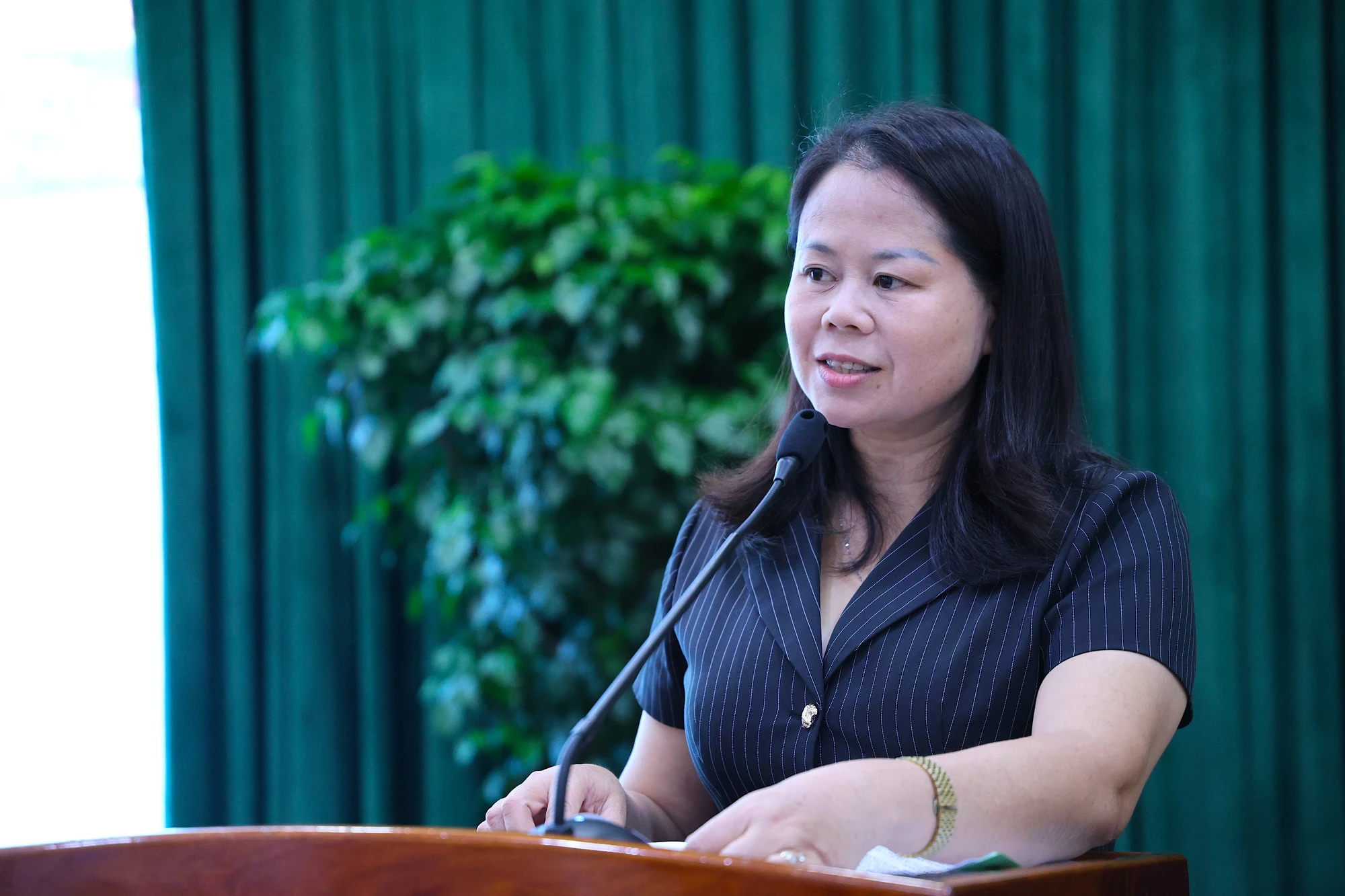 the-vang-ec-2.JPG