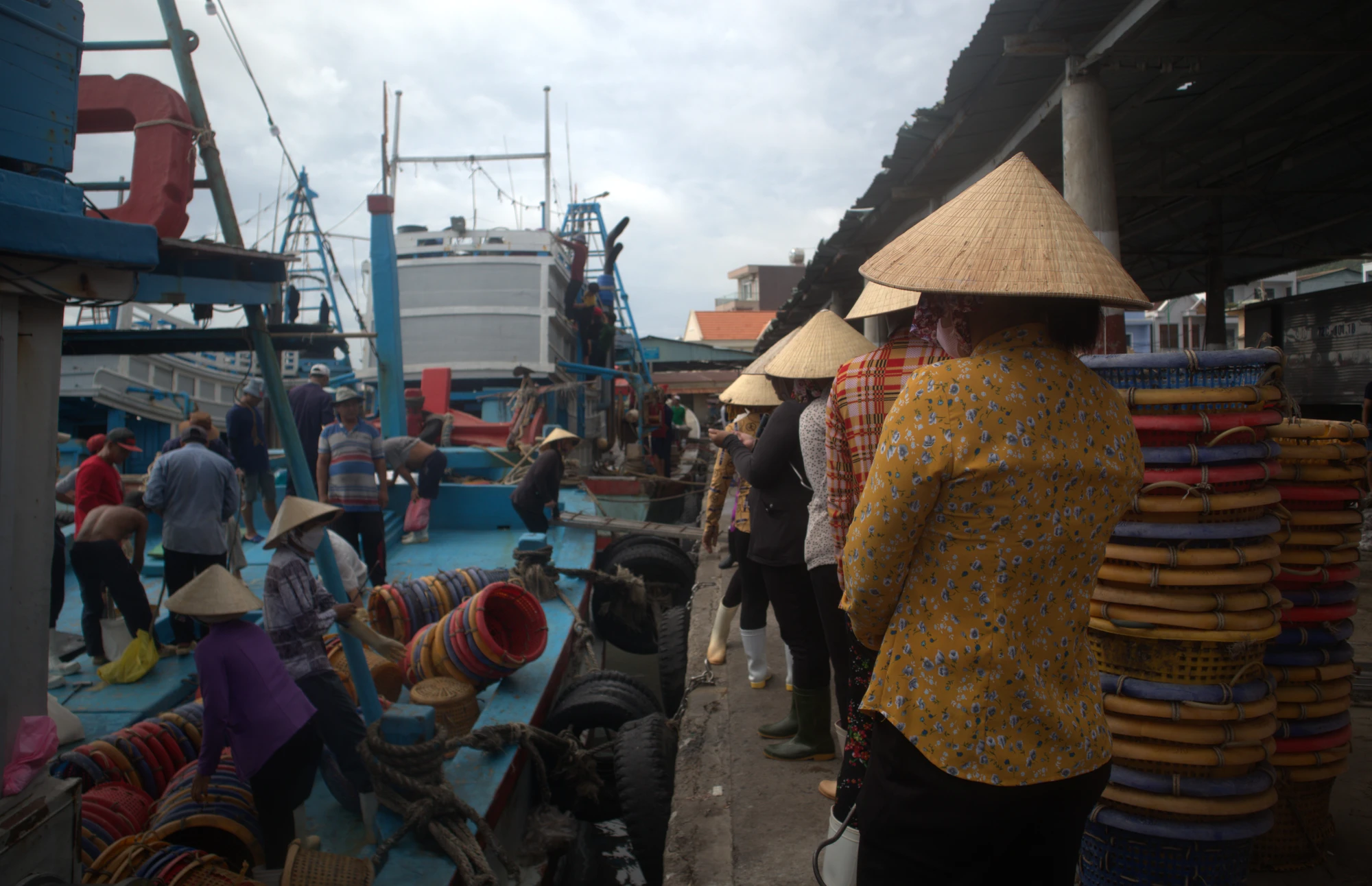 Chờ kéo cá khi tàu cập bến. Ảnh: TK