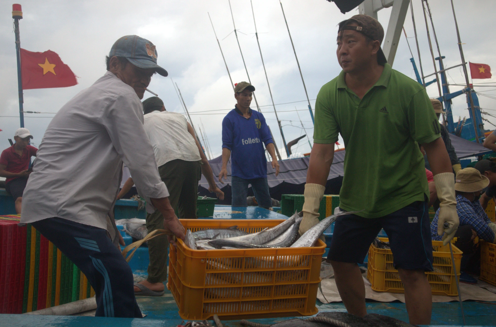 Xuống cá sau khi tàu cập bờ cảng Incomap, phường 5, TP Vũng Tàu. Ảnh: TK