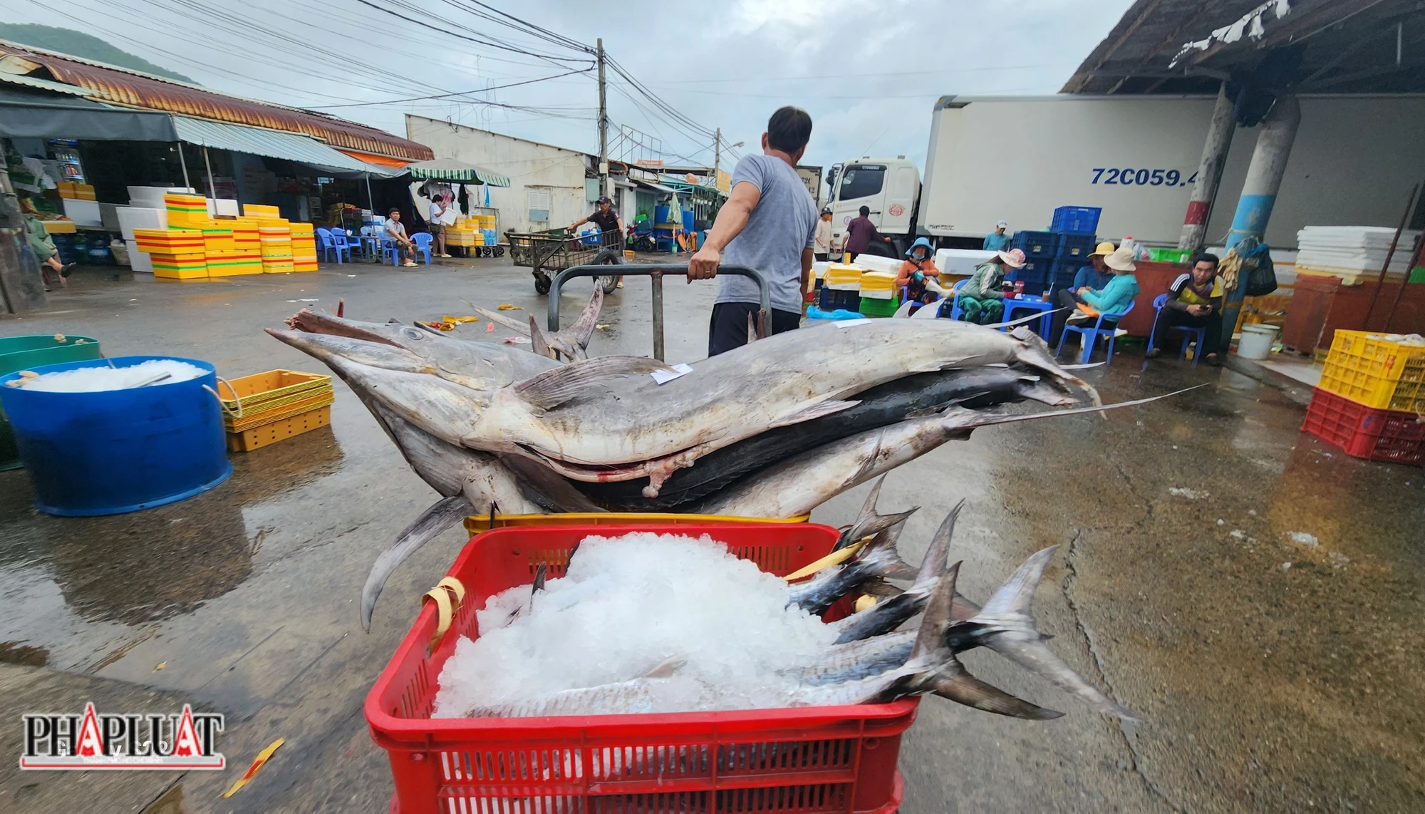 Ngư dân vận chuyển cá ra xe tại cảng cá Vũng Tàu. Ảnh: TK