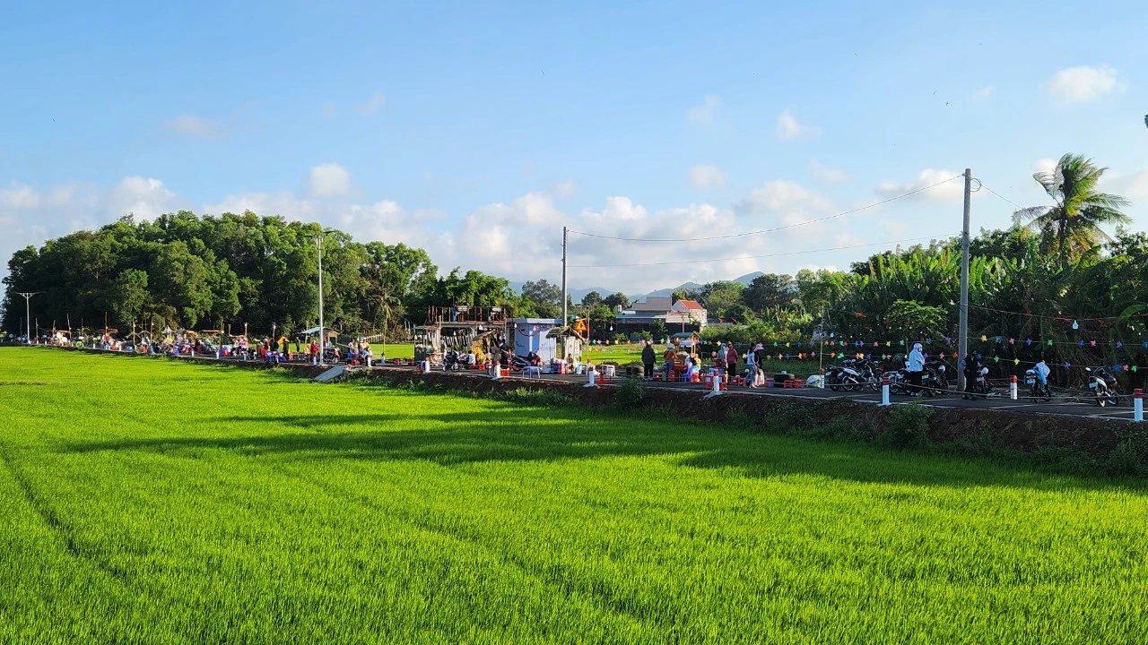 Bà Rịa- Vũng Tàu: Chợ ẩm thực trên con đường quanh cánh đồng lúa độc, lạ hút khách