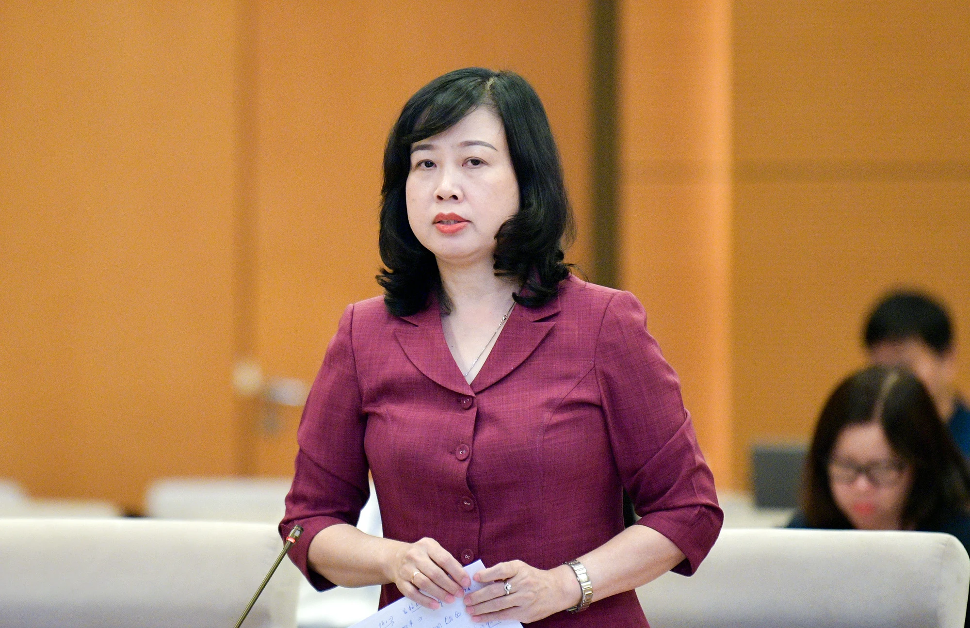 P2+3-dao-hong-lan.jpg