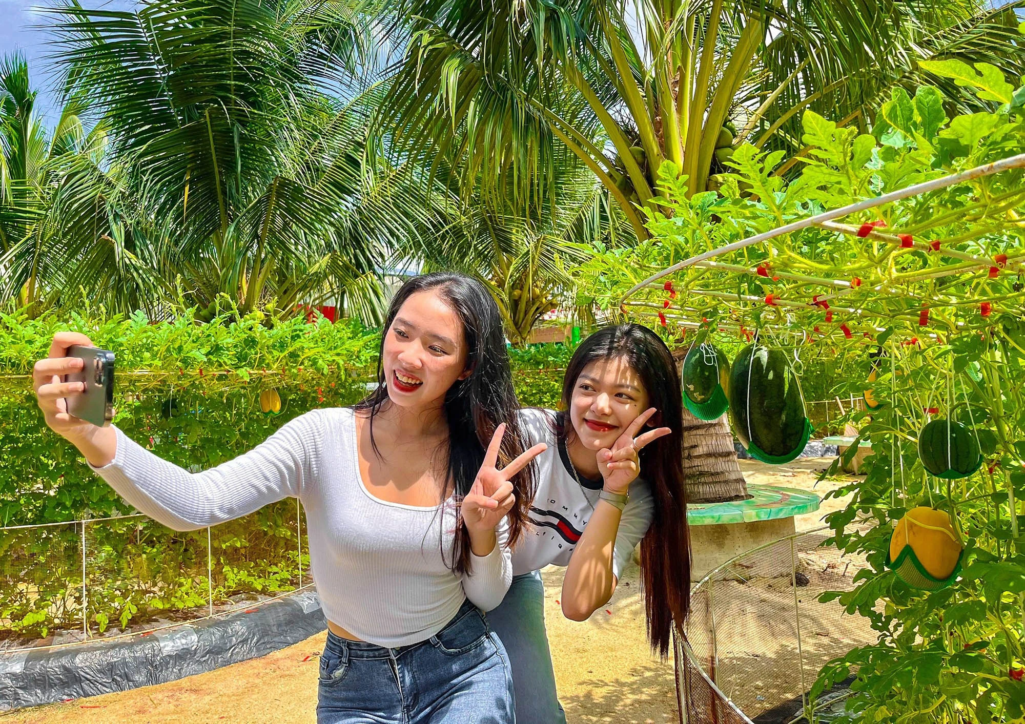Giới trẻ trải nghiệm việc tự làm vườn và thu hoạch trái cây ở TP.HCM