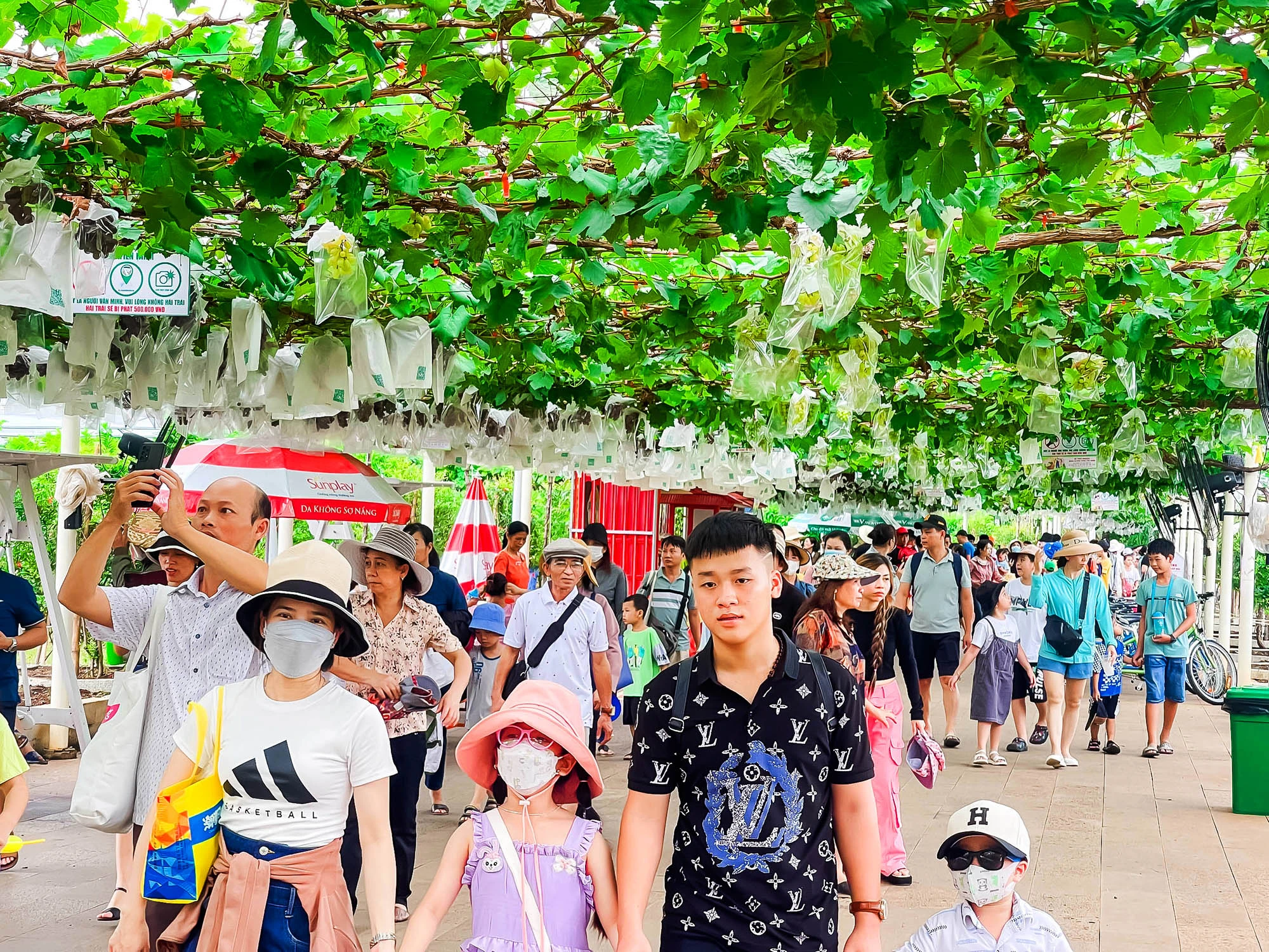 Nhiều gia đình đưa con cái đến trải nghiệm trong dịp hè. Nhiều gia đình đưa con cái đến trải nghiệm trong dịp hè.