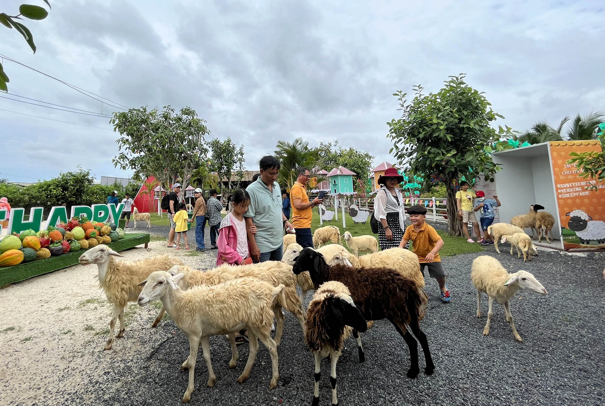 Kết hợp giữa mô hình chăn nuôi với du lịch tham quan trải nghiệm, Farm Cừu cũng hấp dẫn không kém khi trở thành địa điểm check-in được giới trẻ yêu thích khi đến đây. Kết hợp giữa mô hình chăn nuôi với du lịch tham quan trải nghiệm, Farm Cừu cũng hấp dẫn không kém khi trở thành địa điểm check-in được giới trẻ yêu thích khi đến đây.