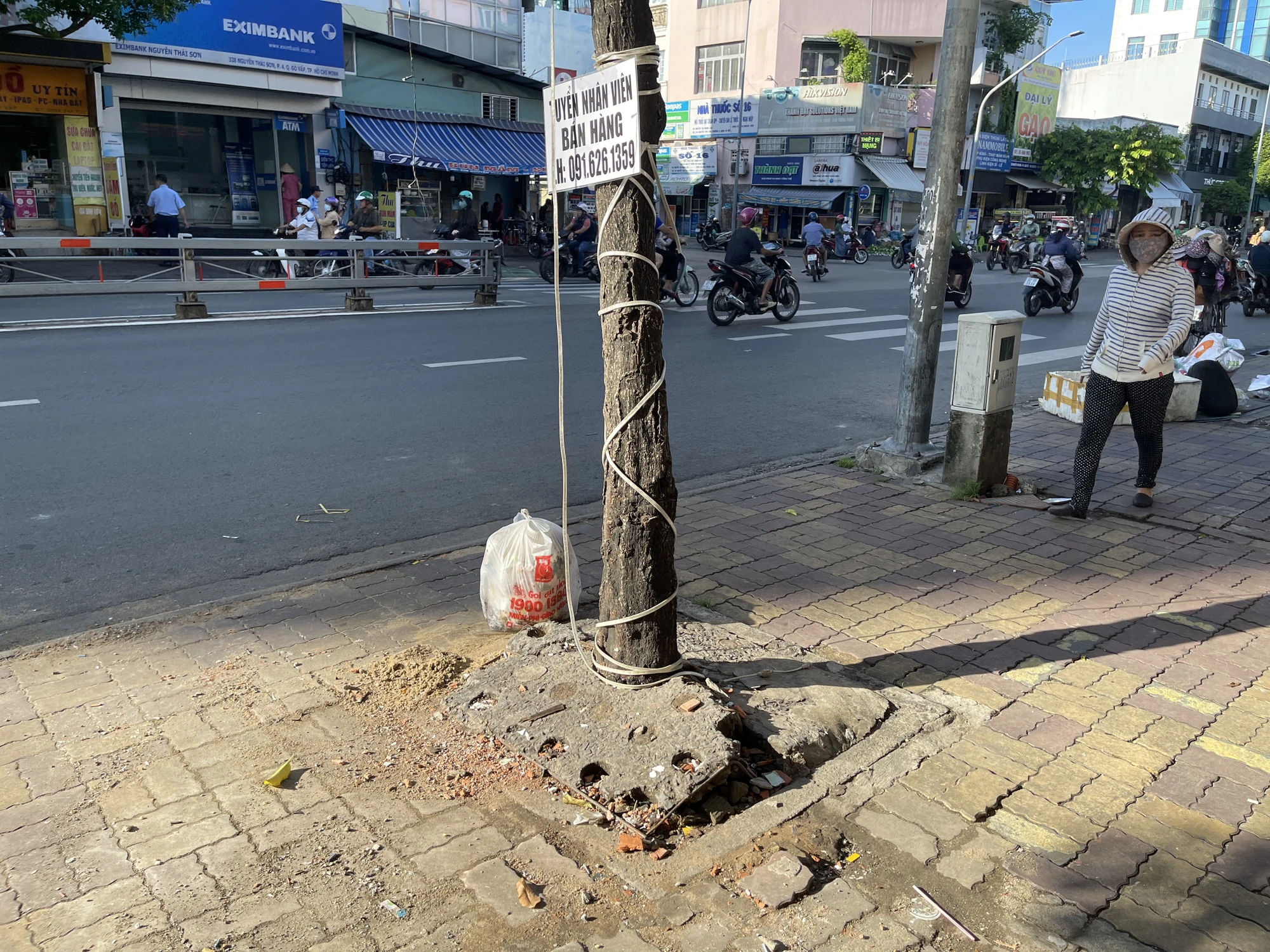 Hàng loạt cây xanh “thoi thóp”, chờ giải cứu ở TP.HCM (6).jpg