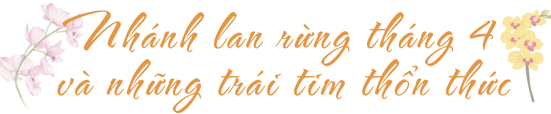 dinh độc lập (2).png