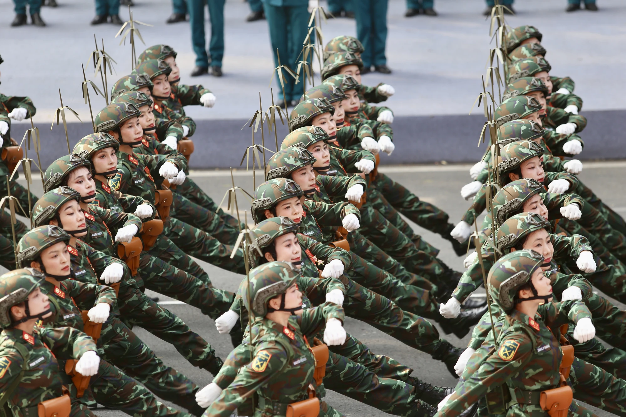 vẻ đẹp hoà bình (49).jpg