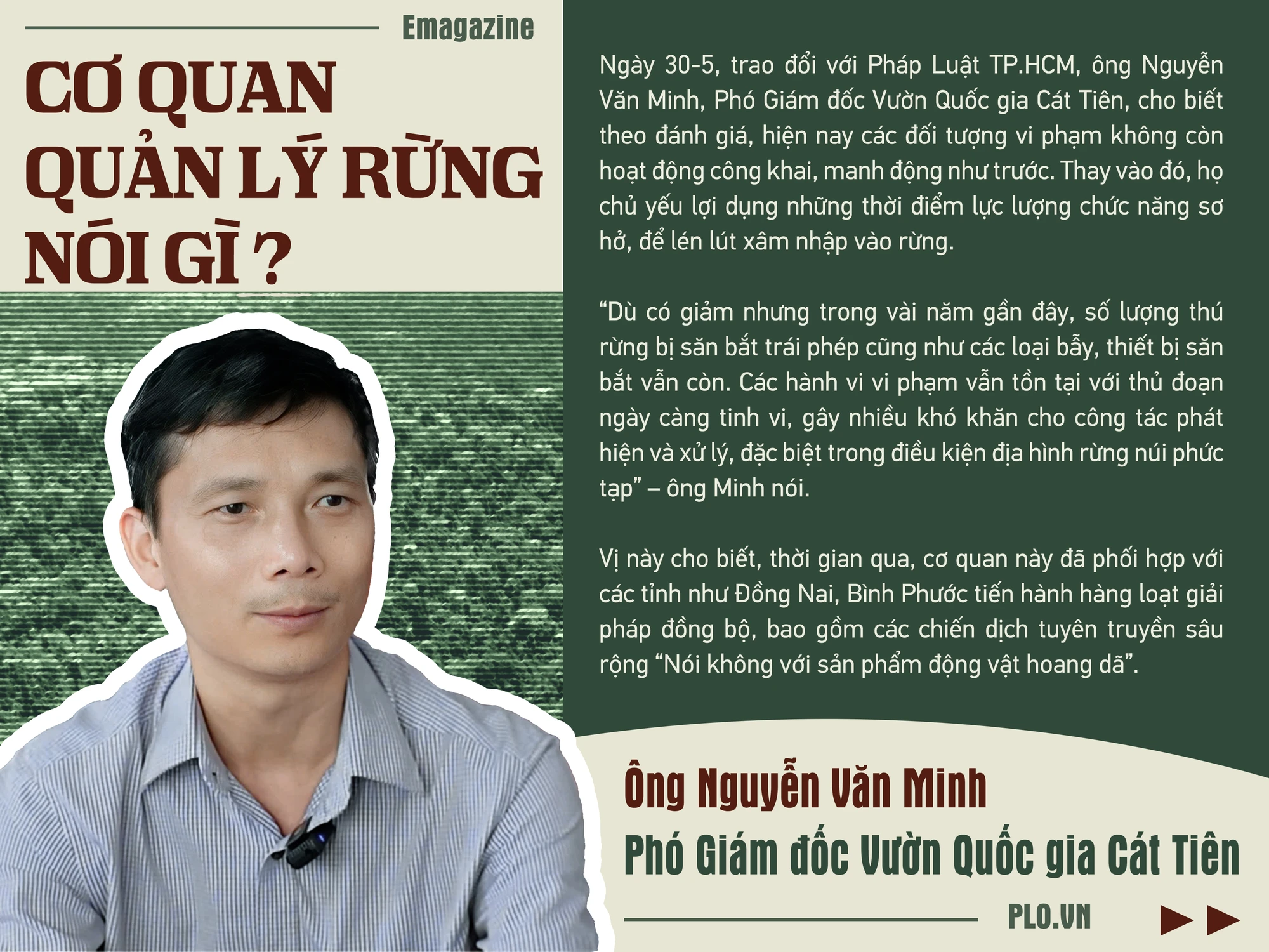 cánh thợ săn