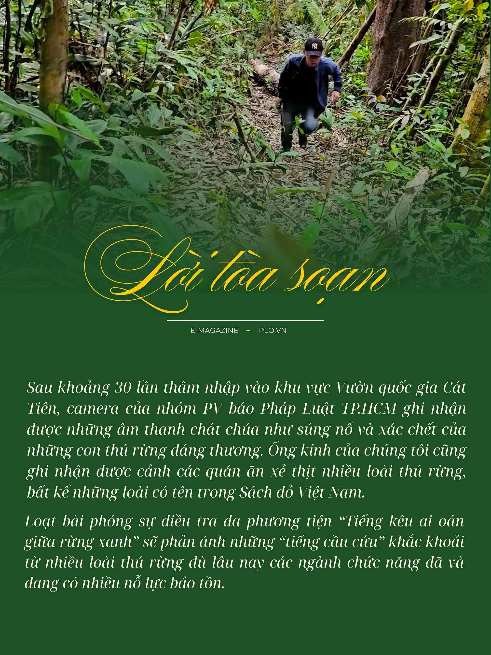 cánh thợ săn