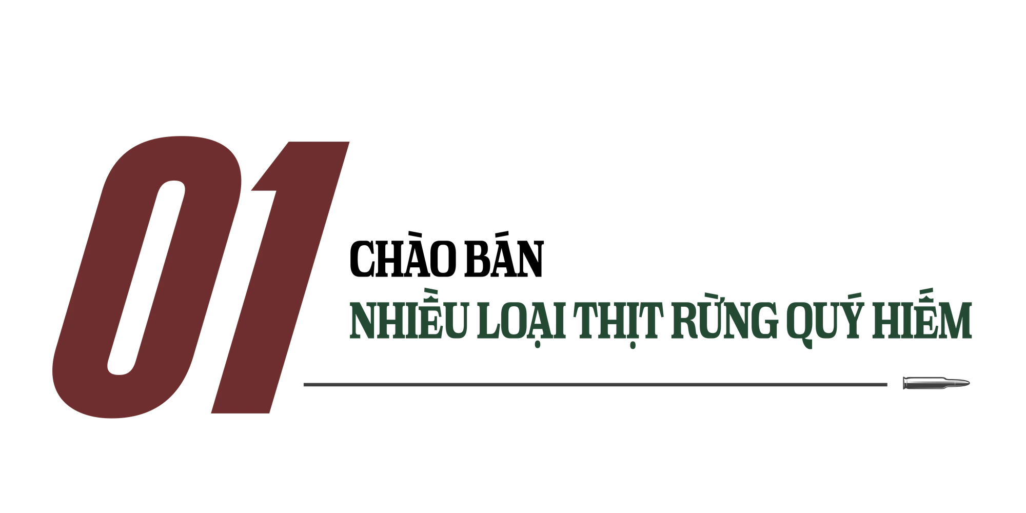 Sách đỏ Việt Nam