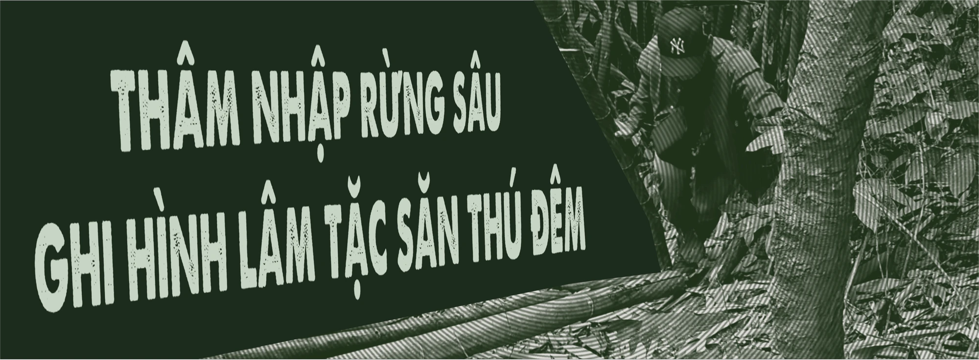 cánh thợ săn