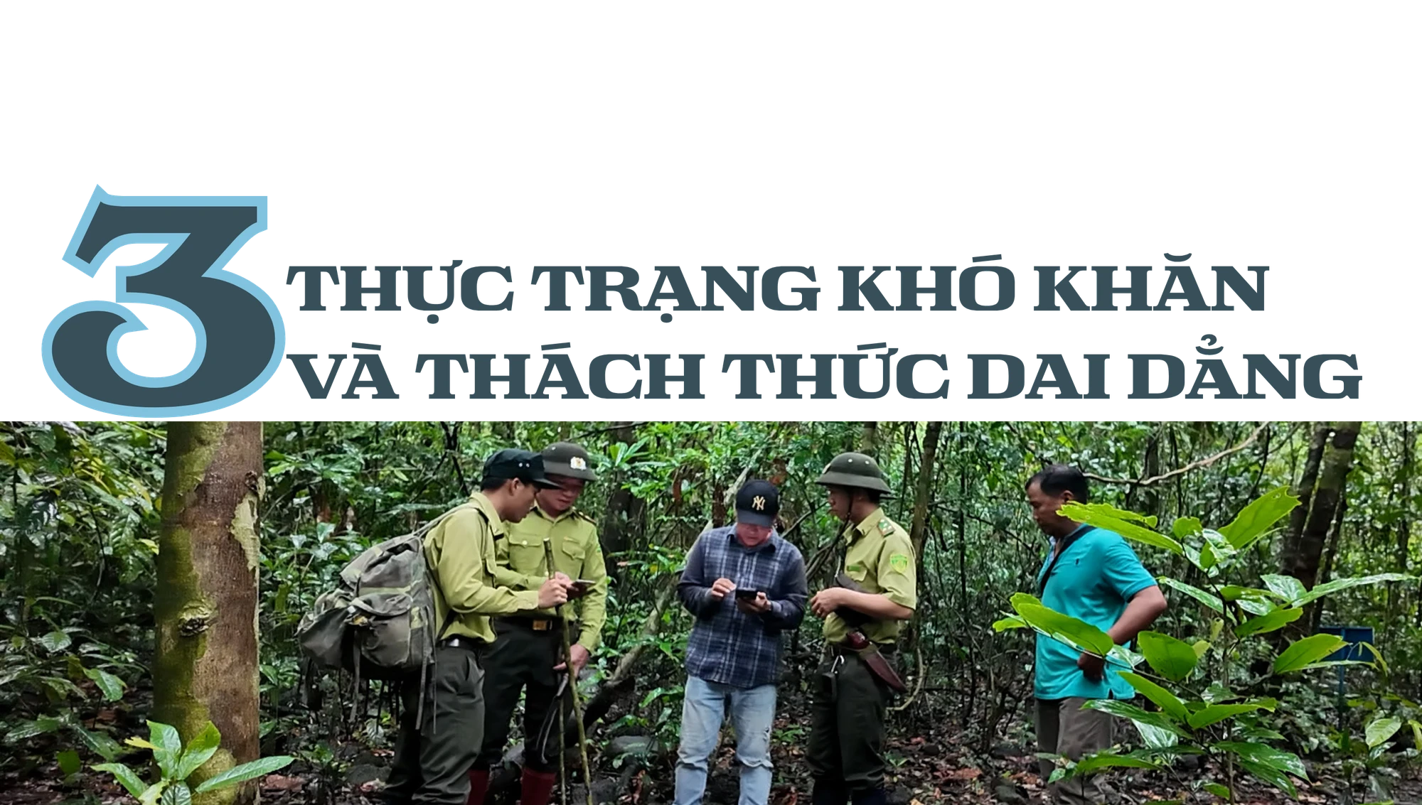 Vườn quốc gia Cát Tiên (13).png