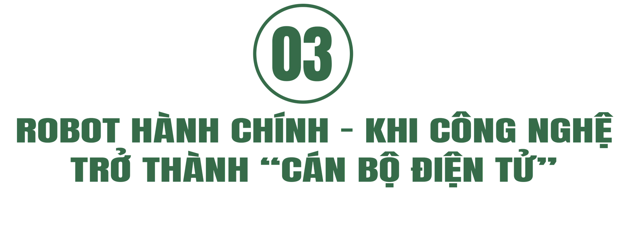 Hành chính công (3).png