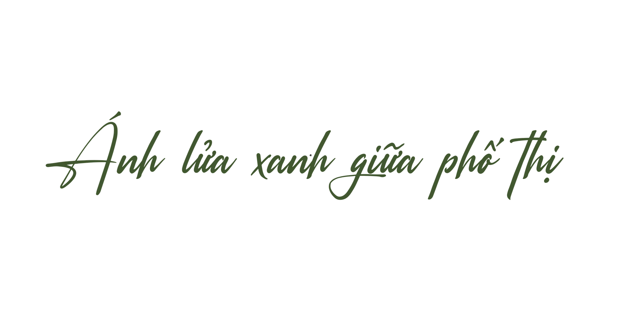 Bơm quẹt gas (1).png