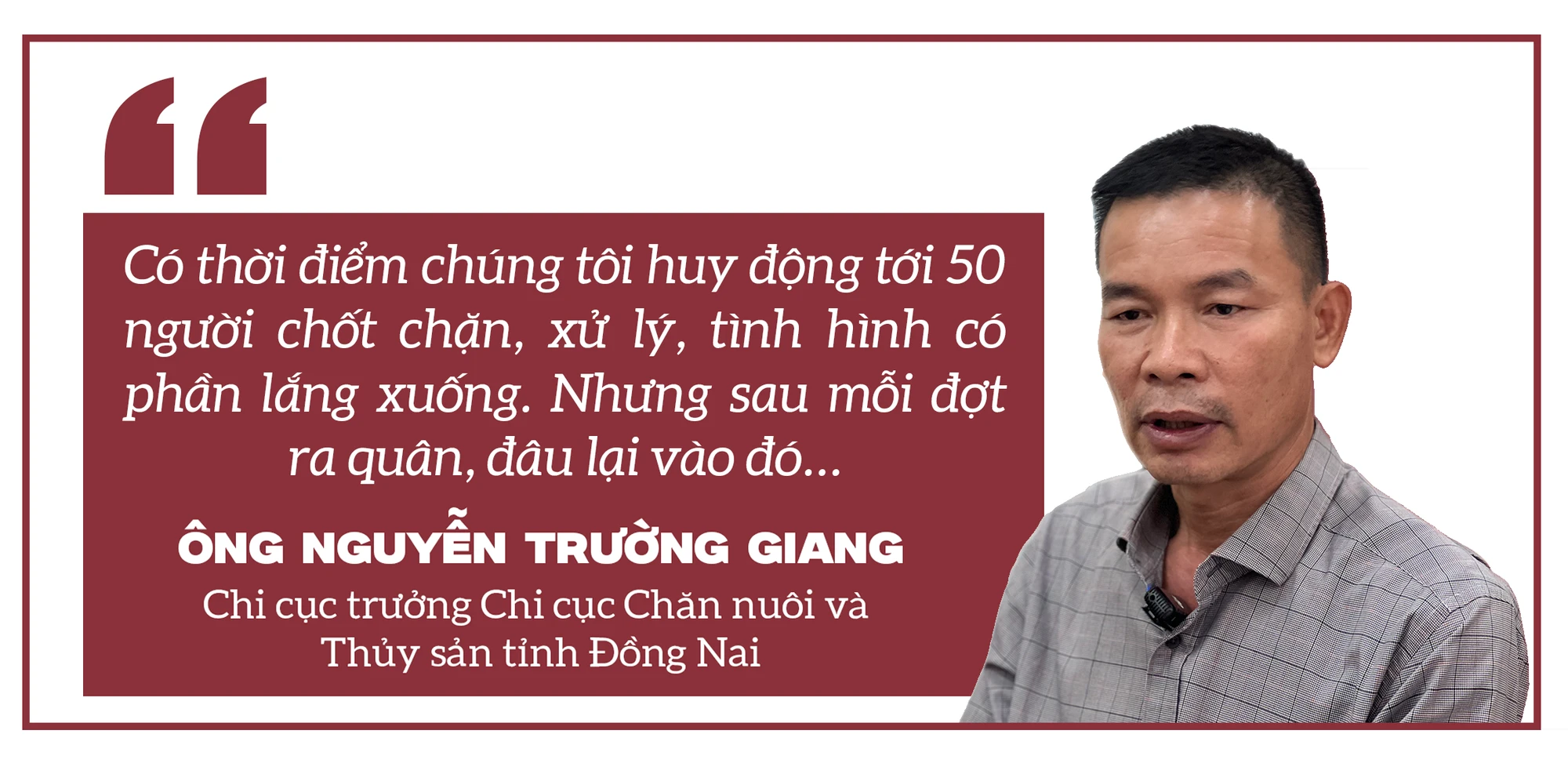mổ heo lậu (13).png