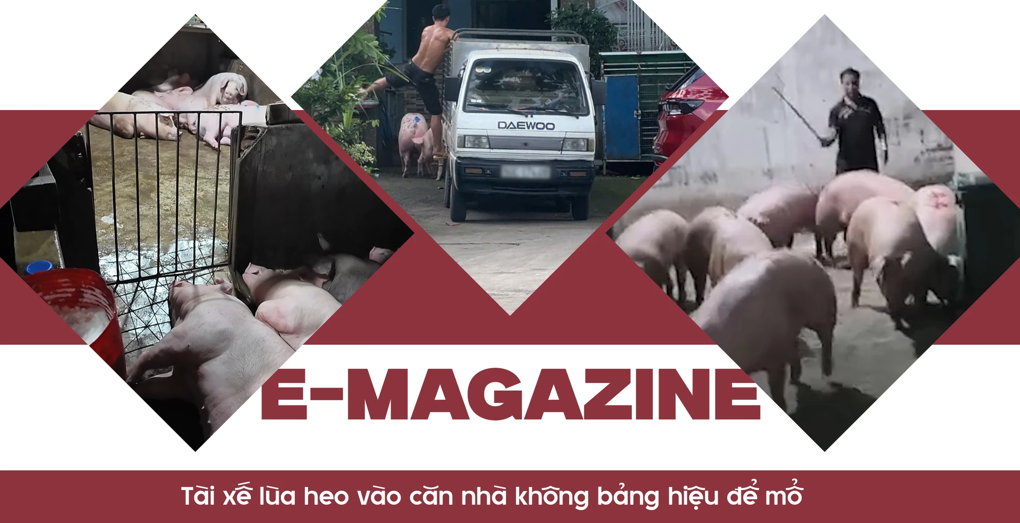 lò mổ lậu (11).png