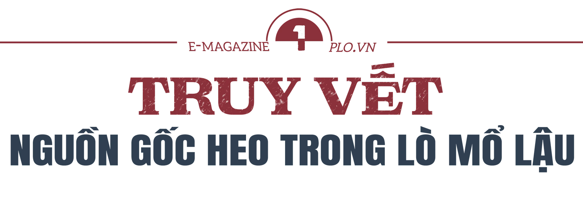 lò mổ lậu (2).png