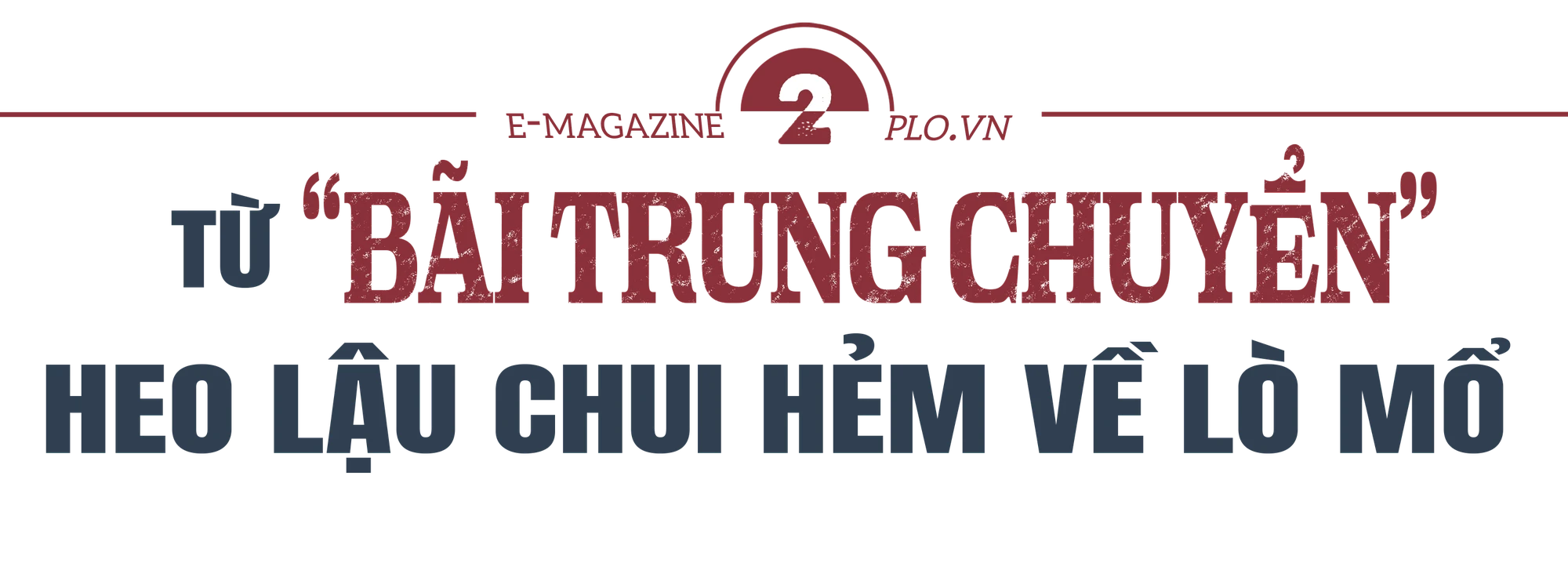 lò mổ lậu (3).png