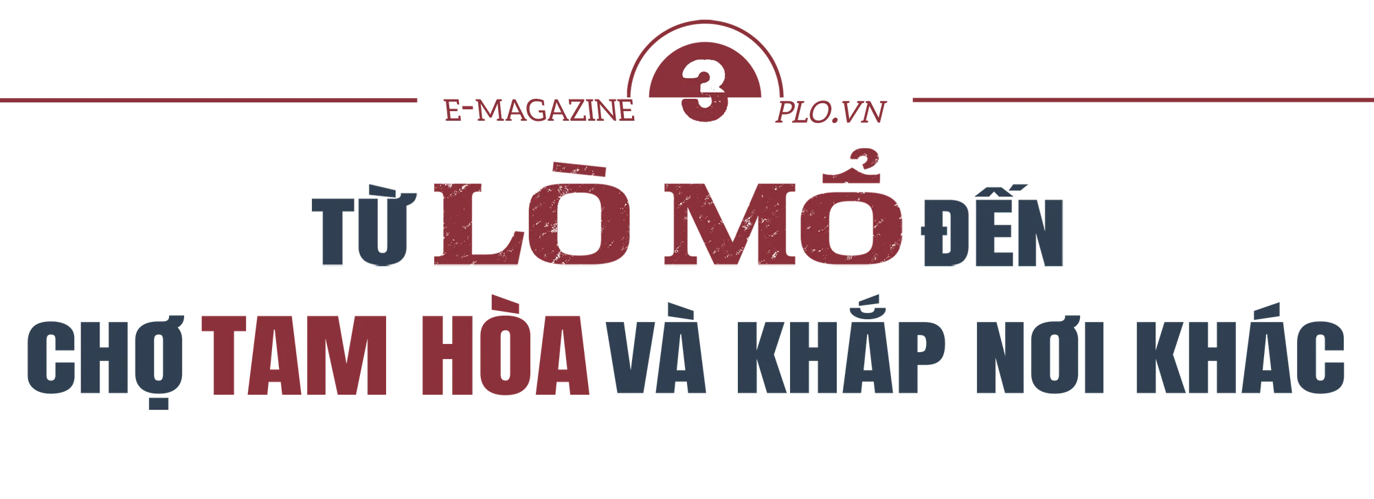 lò mổ lậu (4).png
