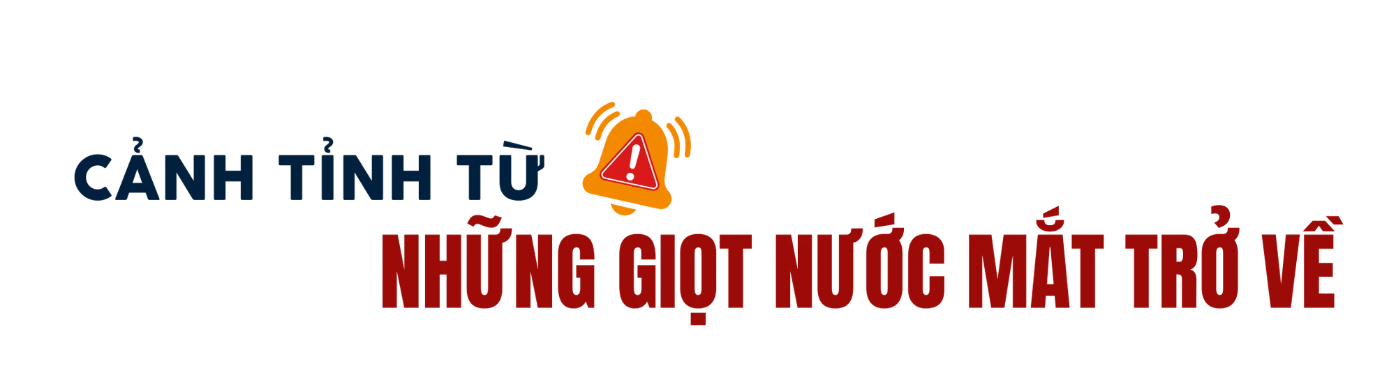 công ty quốc tế (9).png