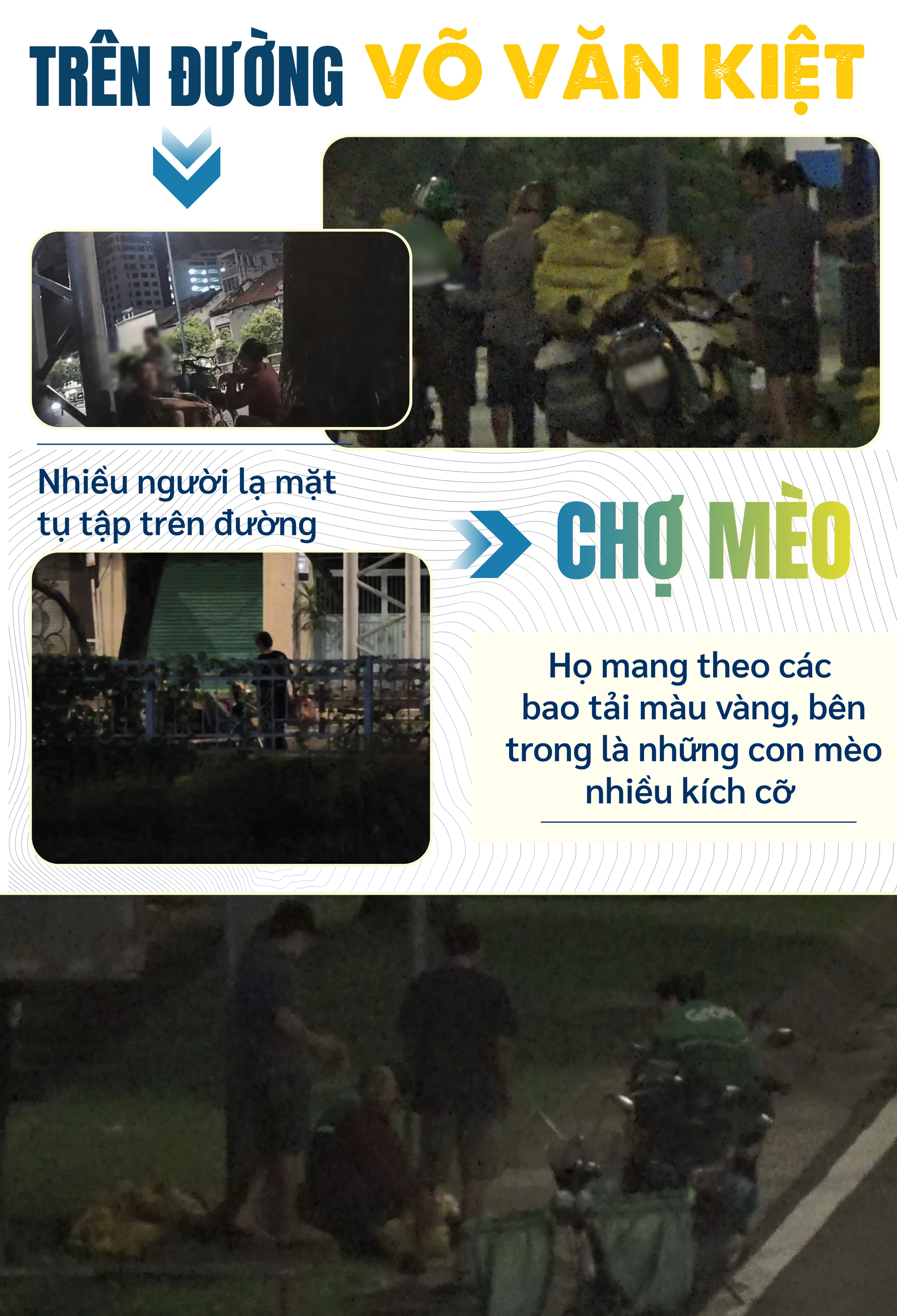 ẢNH GHÉP 3 - Hàng chục chiếc bẫy mèo tự chế, túi bắt mèo được giấu trong cốp xe, dưới yên hoặc trong bao ni long (2-3 ảnh).png