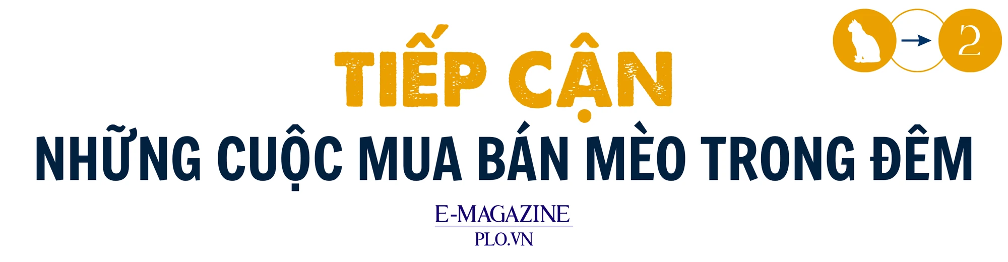 mèo tặc (3).png