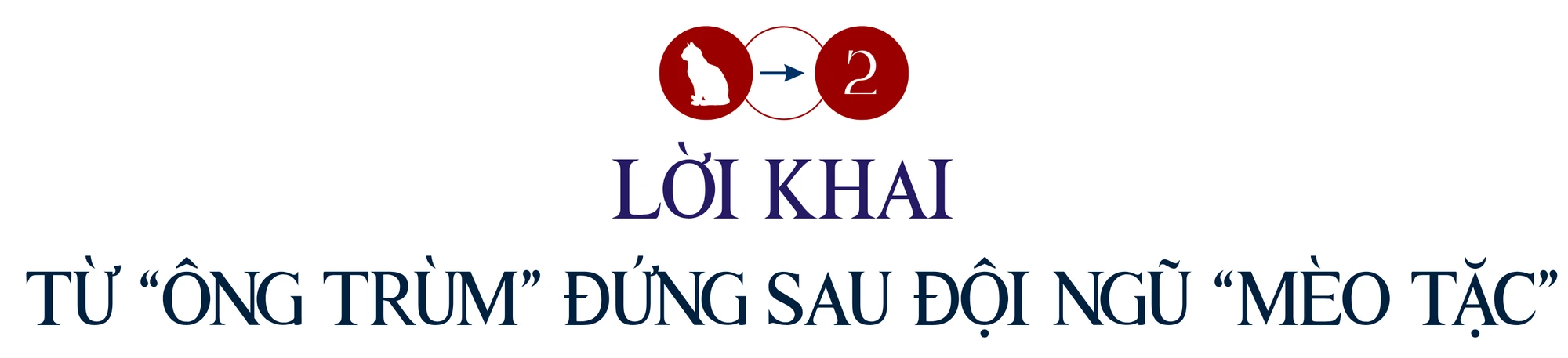 mèo tặc (5).png
