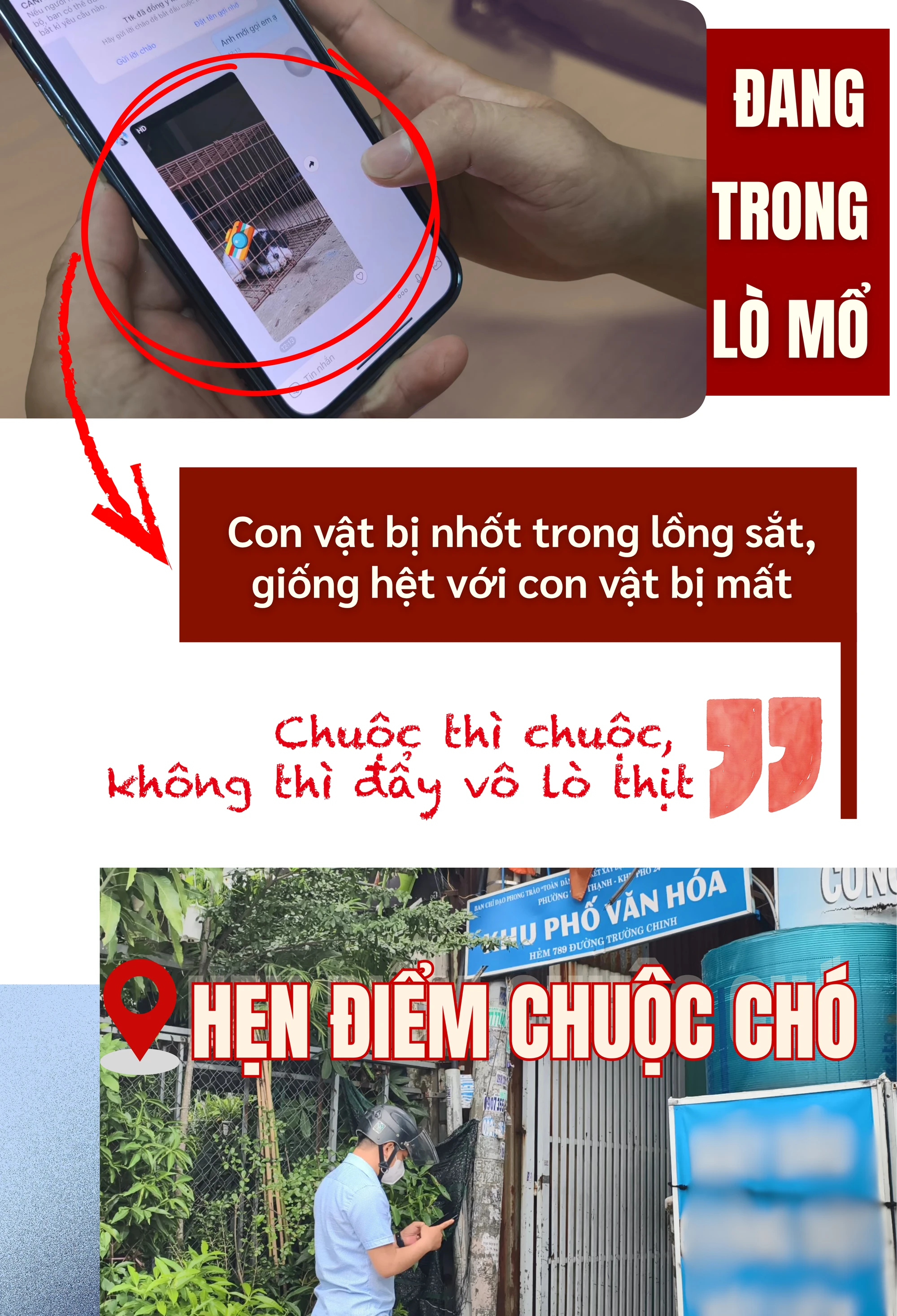 ẢNH GHÉP 8 - TVK gửi hình một con chó bị nhốt trong lồng sắt, giống hệt với con vật bị mất.png