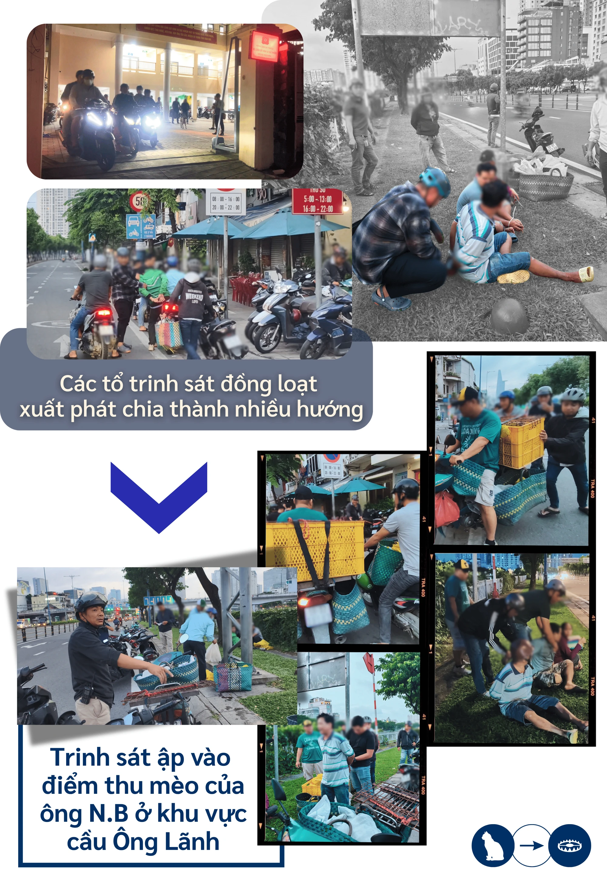 mèo tặc.png