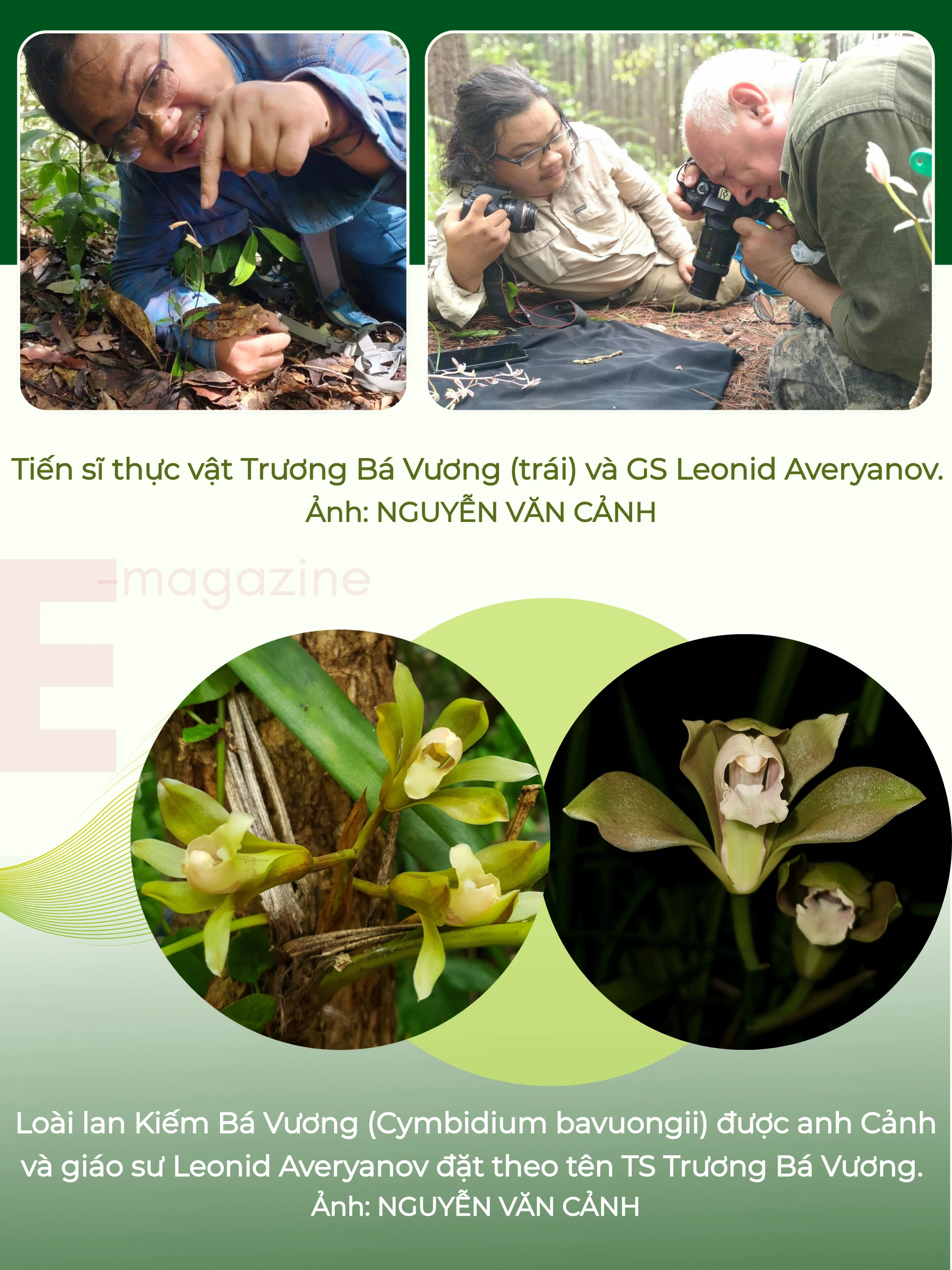 GHÉP CỤM HÌNH 3.png