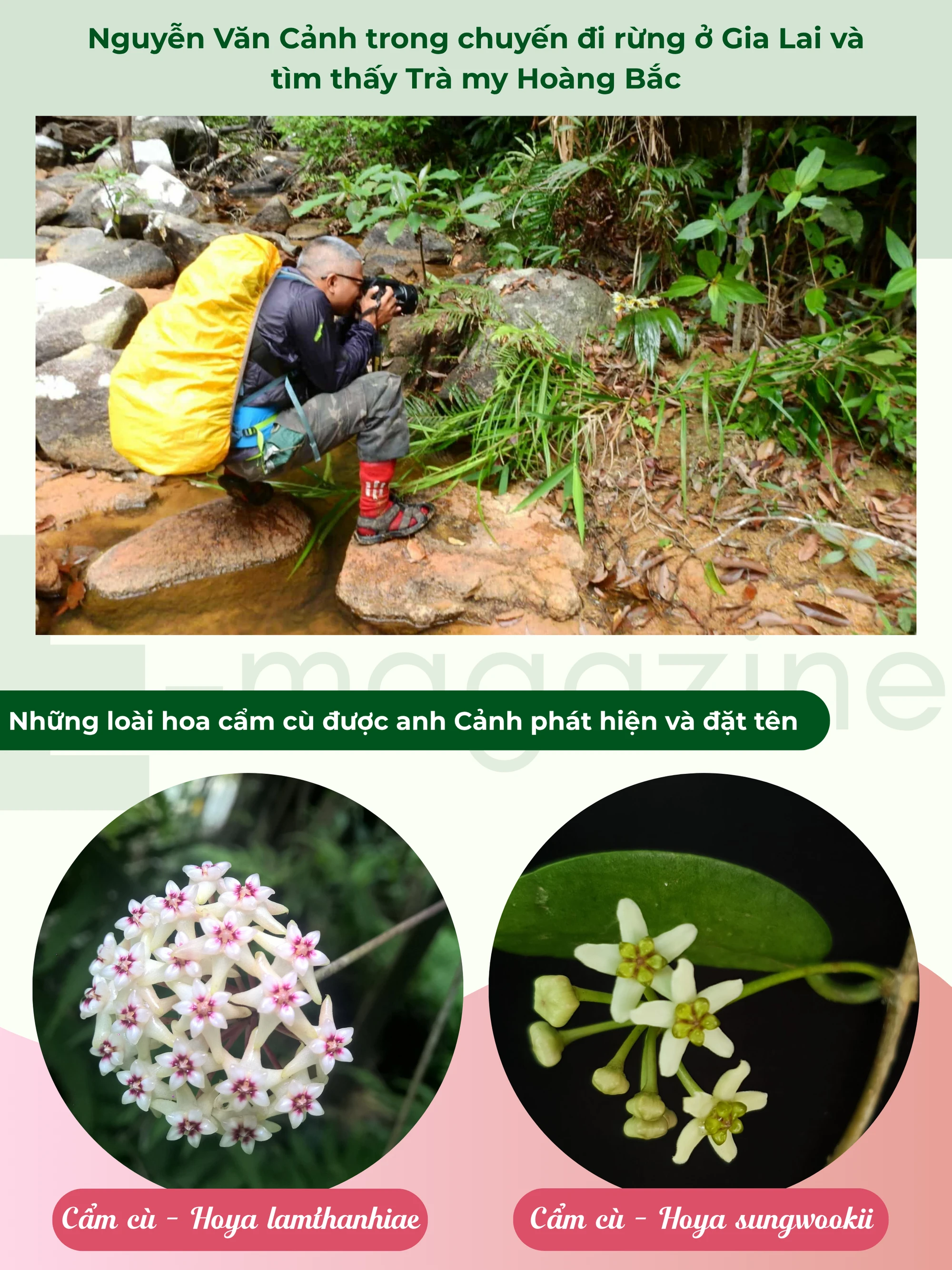 GHÉP CỤM HÌNH 6.png