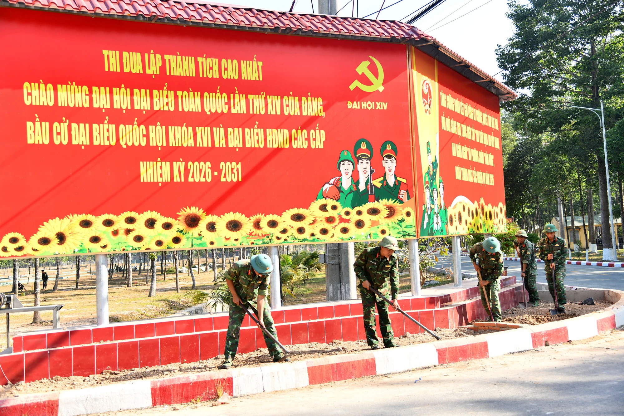ảnh 10.JPG