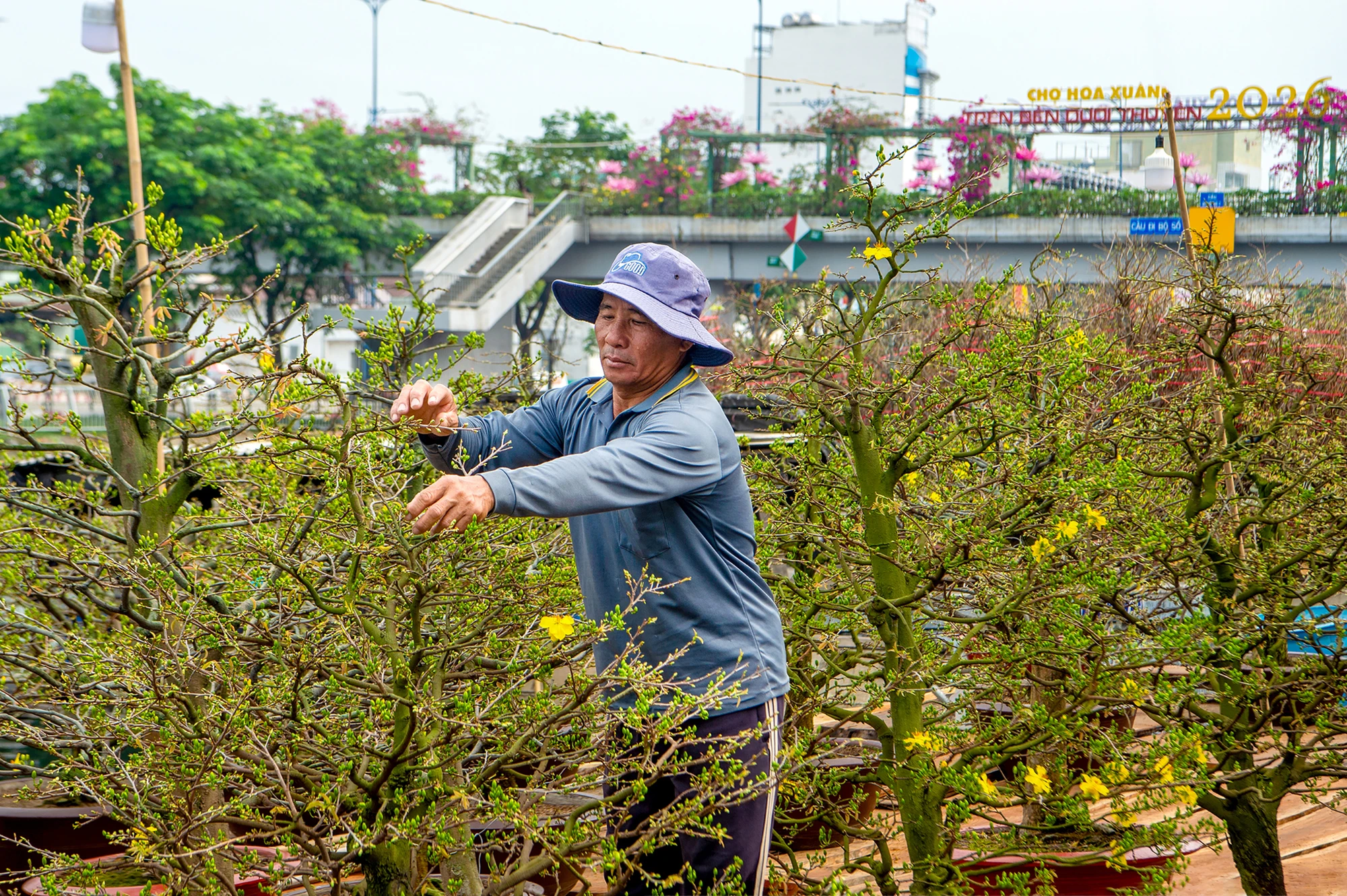 Hội hoa xuân (3).jpg